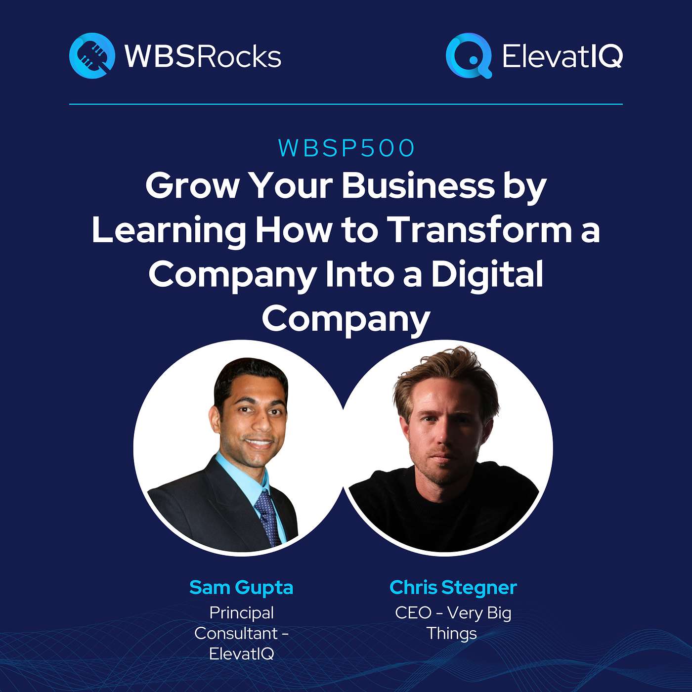 WBSP500: Grow Your Business by Learning How to Transform a Company Into a Digital Company w/ Chris Stegner