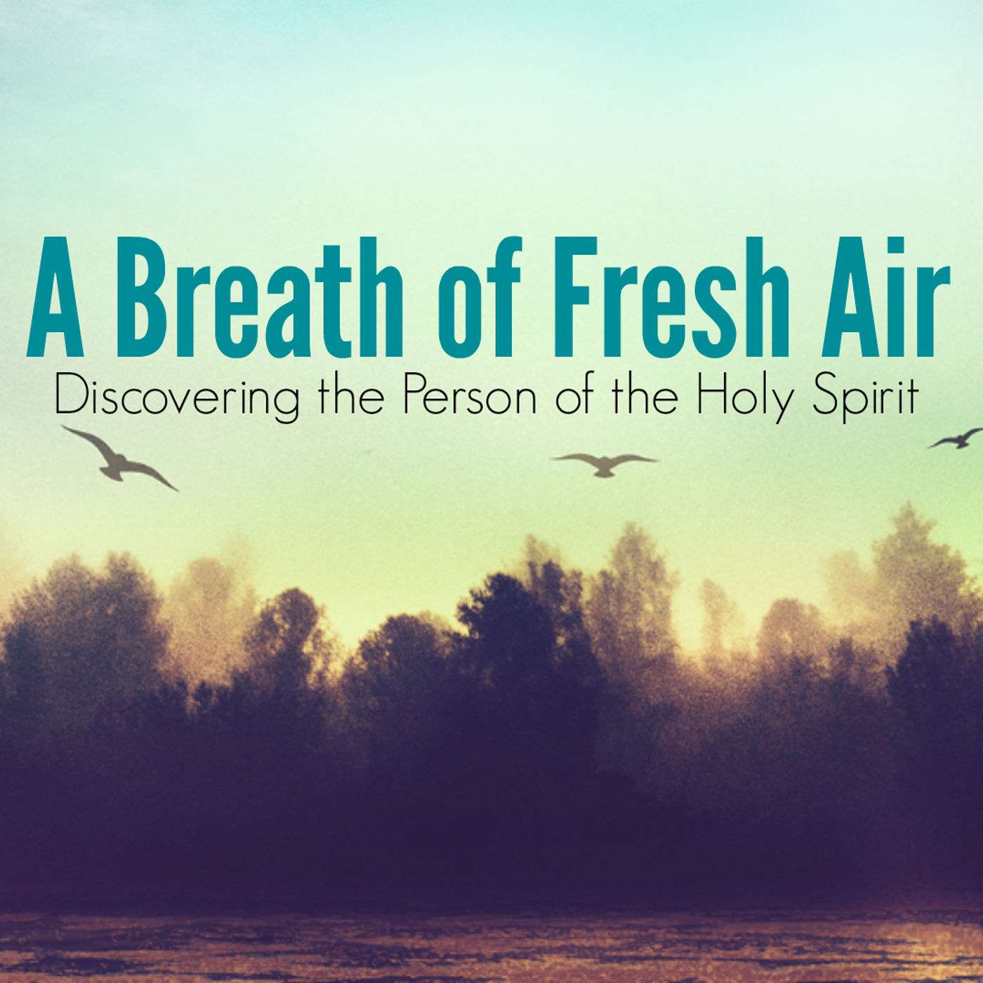 A Breath of Fresh Air pt 3: Baptism in the Holy Spirit