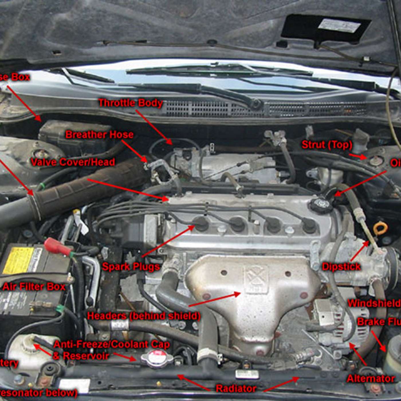 Episode 156 - Under the Hood (Asher Yatzar Part 2)