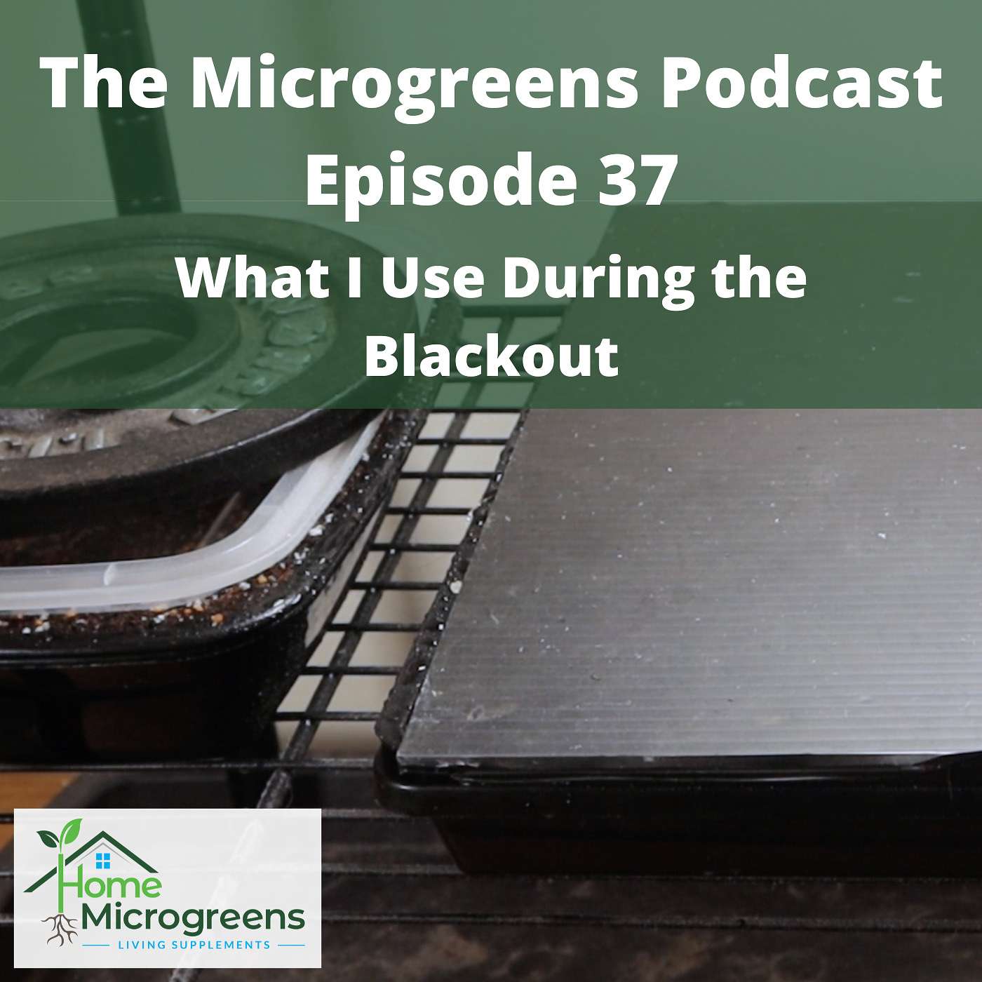 What I Use During The Microgreen Blackout Period