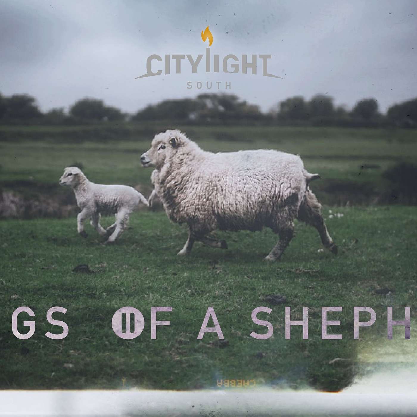 5/3 - Songs of a Shepherd | How Long Oh Lord?