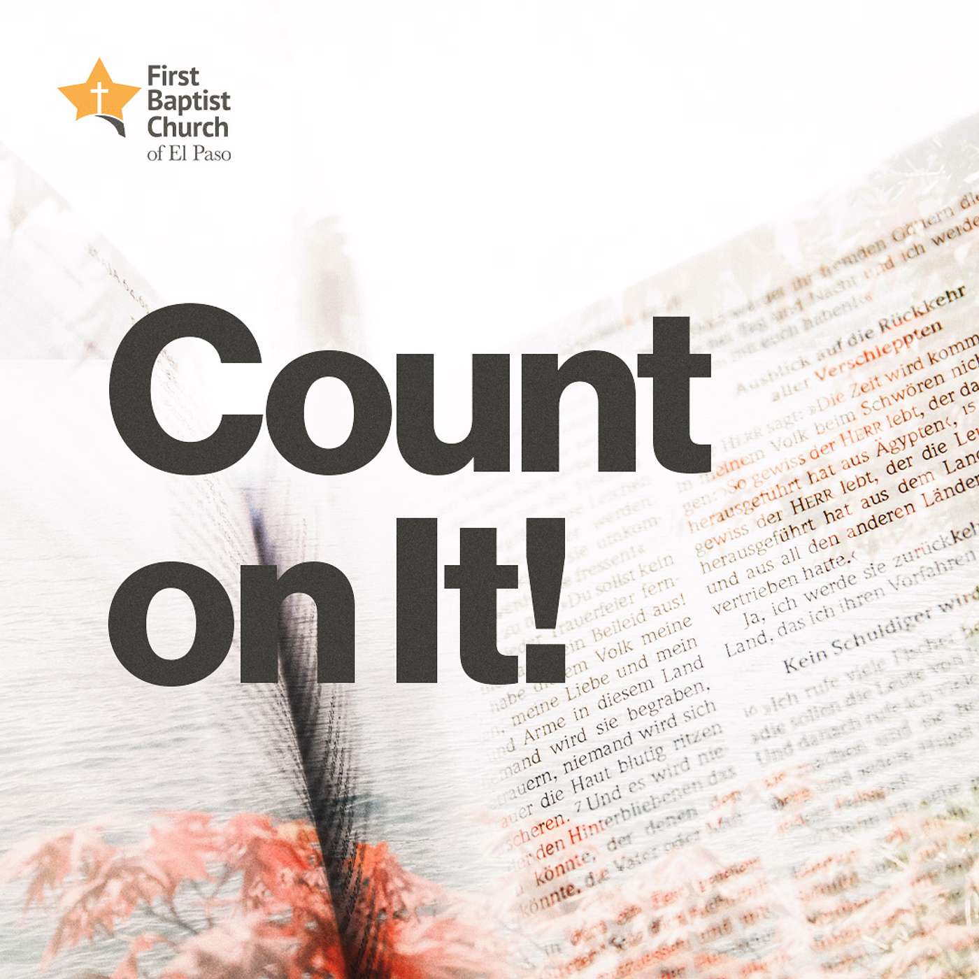 Count on It!