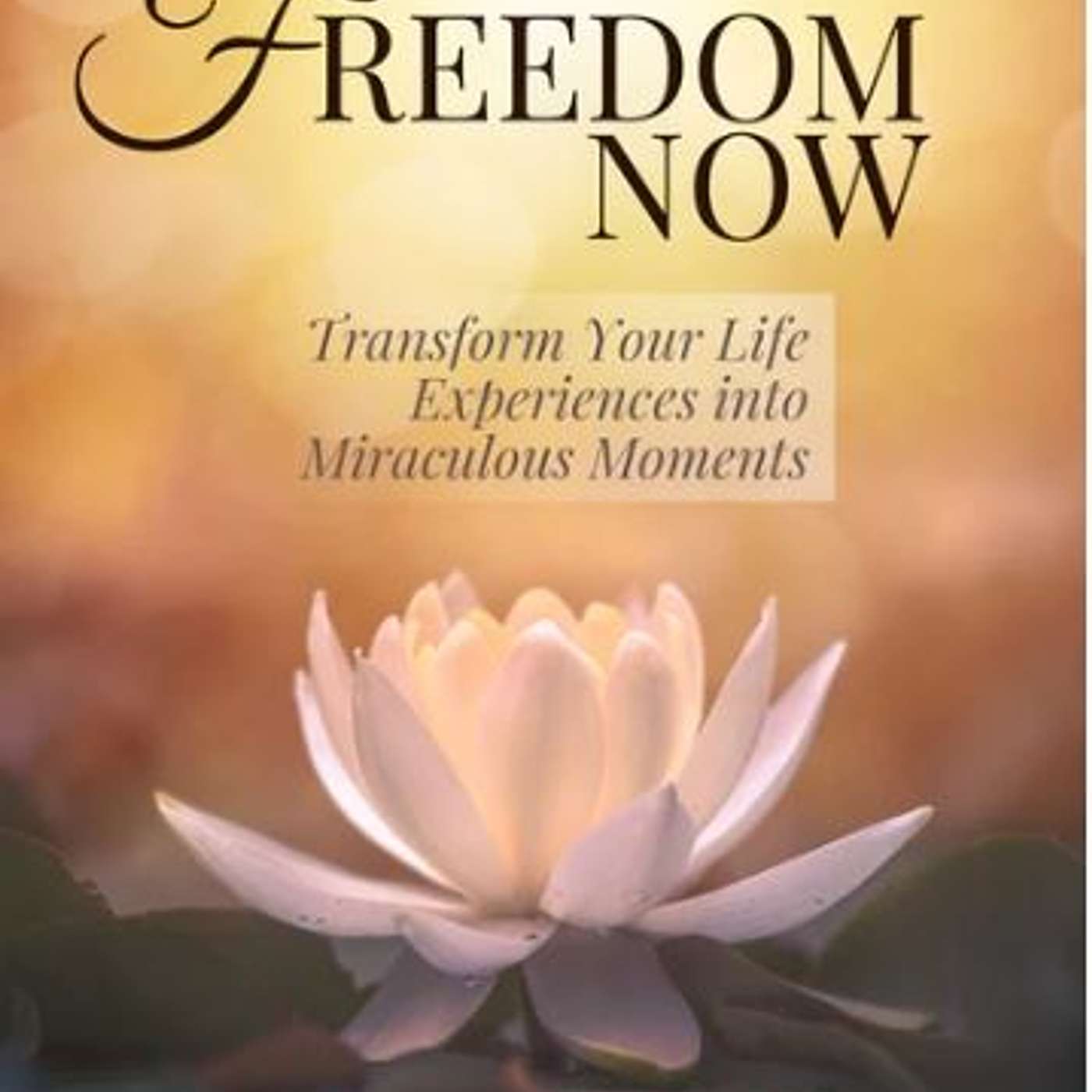 "Freedom Now" Author Patti Fields Discusses Her New Book on the Sunbury Press Books Show episode artwork