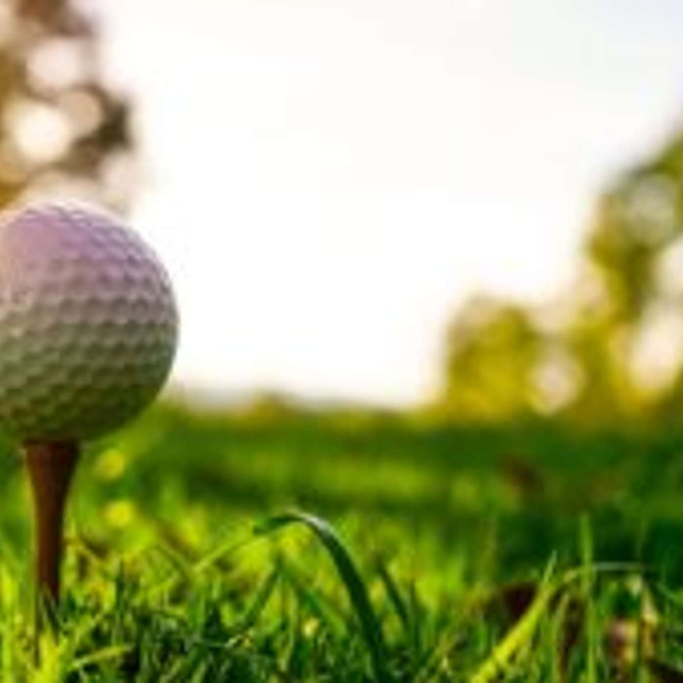 Final Call for Chino Valley Charity Golf Event