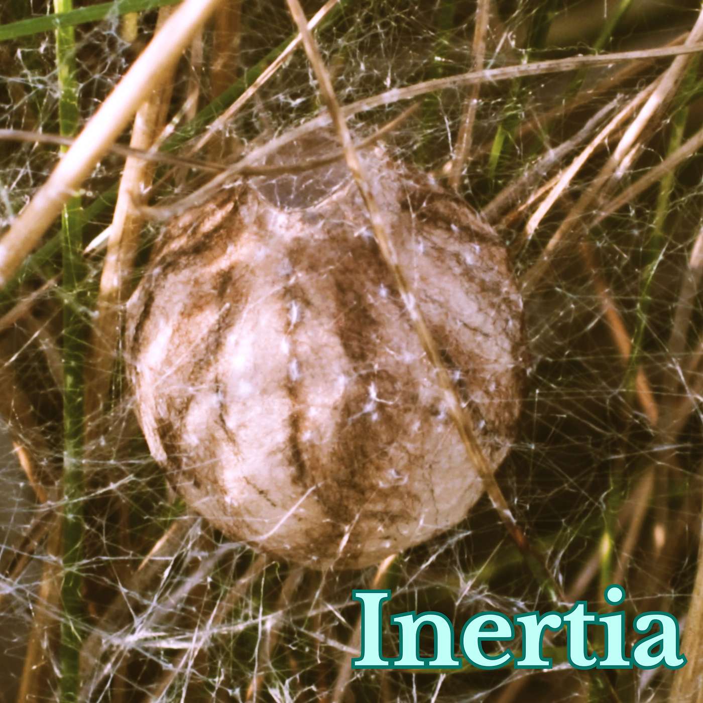 Inertia episode artwork