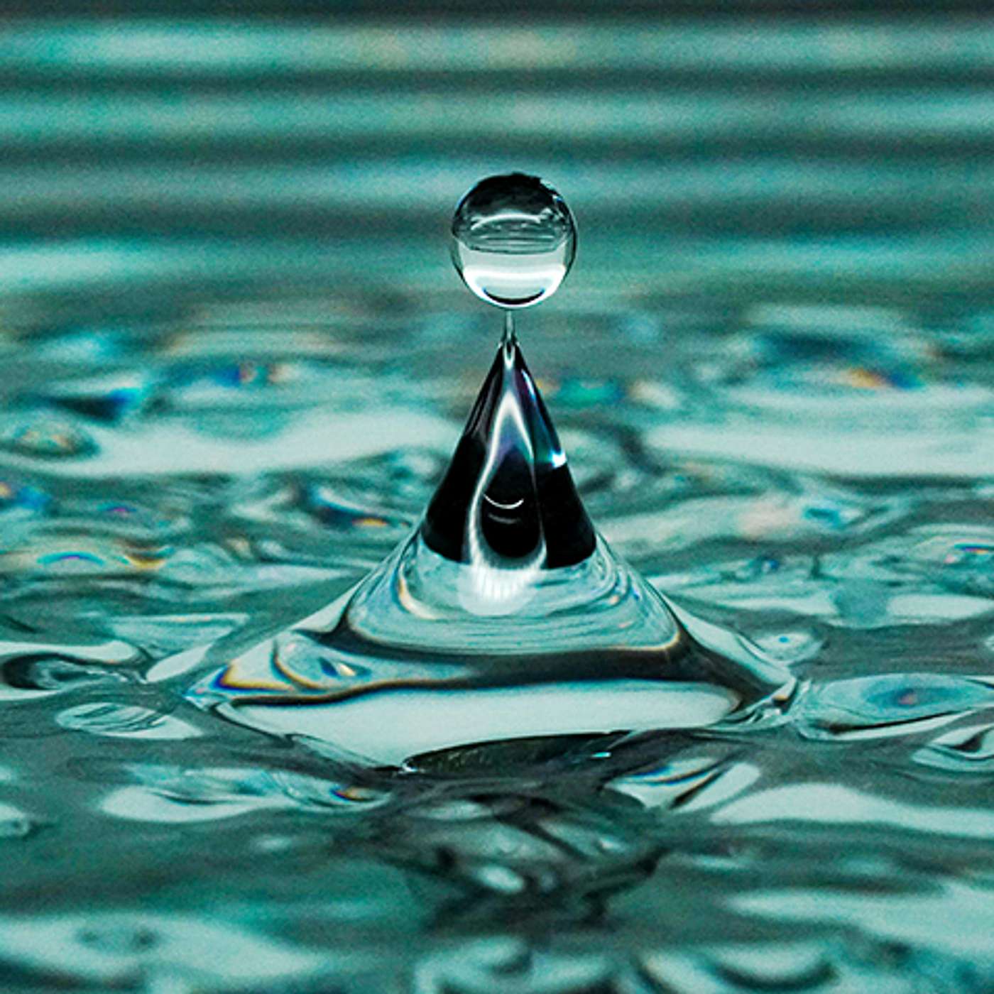 Muddied Water Doesn’t Reflect