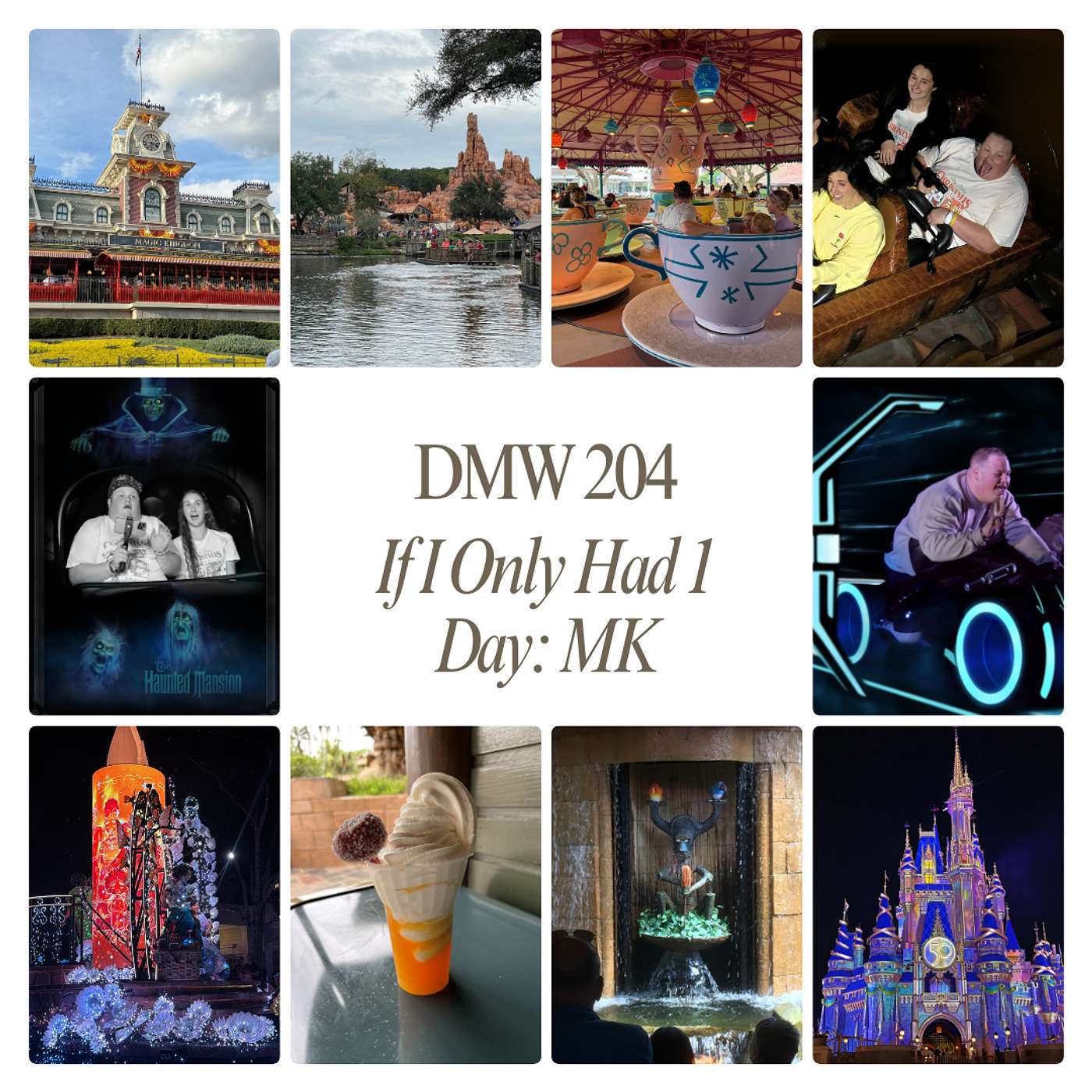 If I Only Had One Day: Magic Kingdom