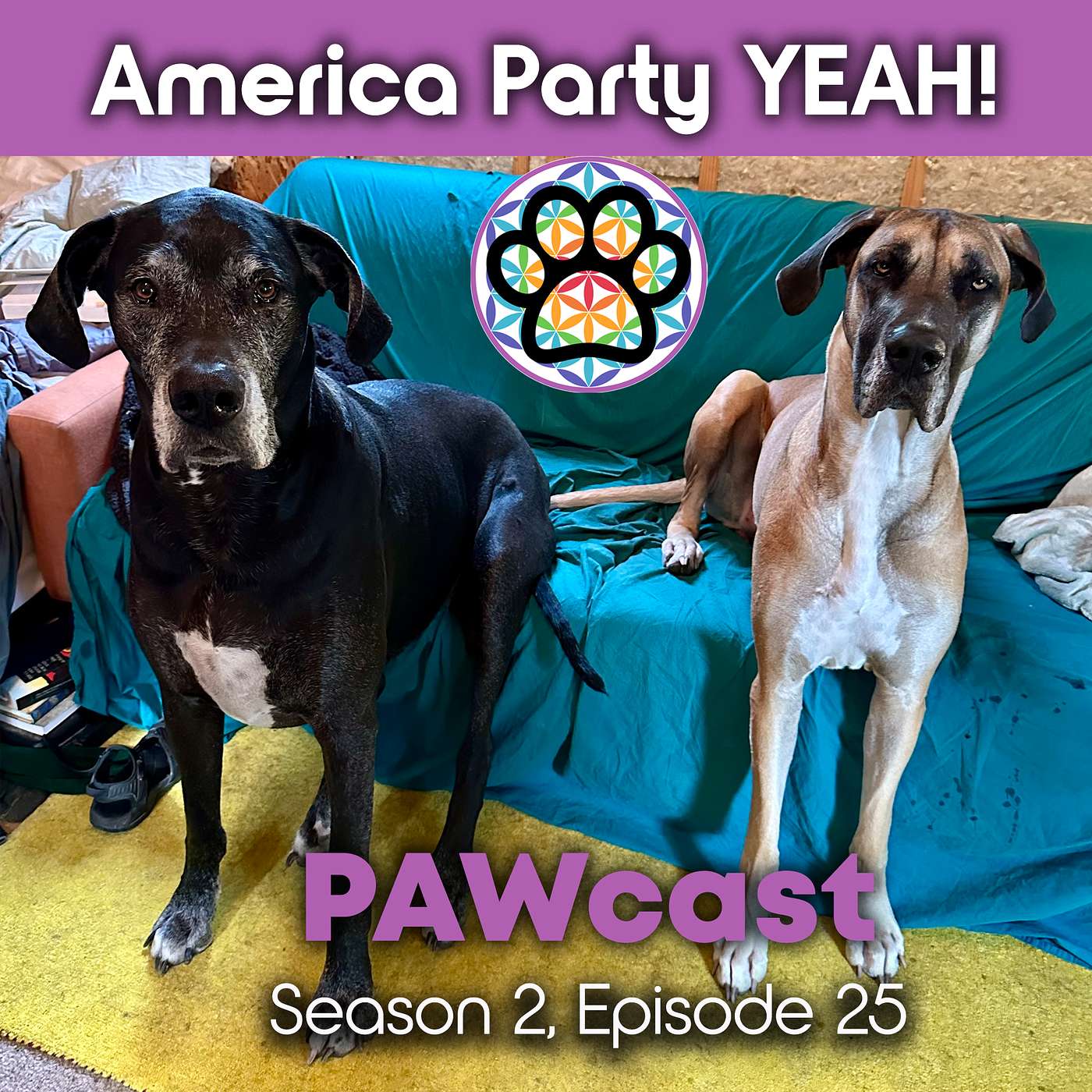 America Party - Elon Choose Us to Run! episode artwork