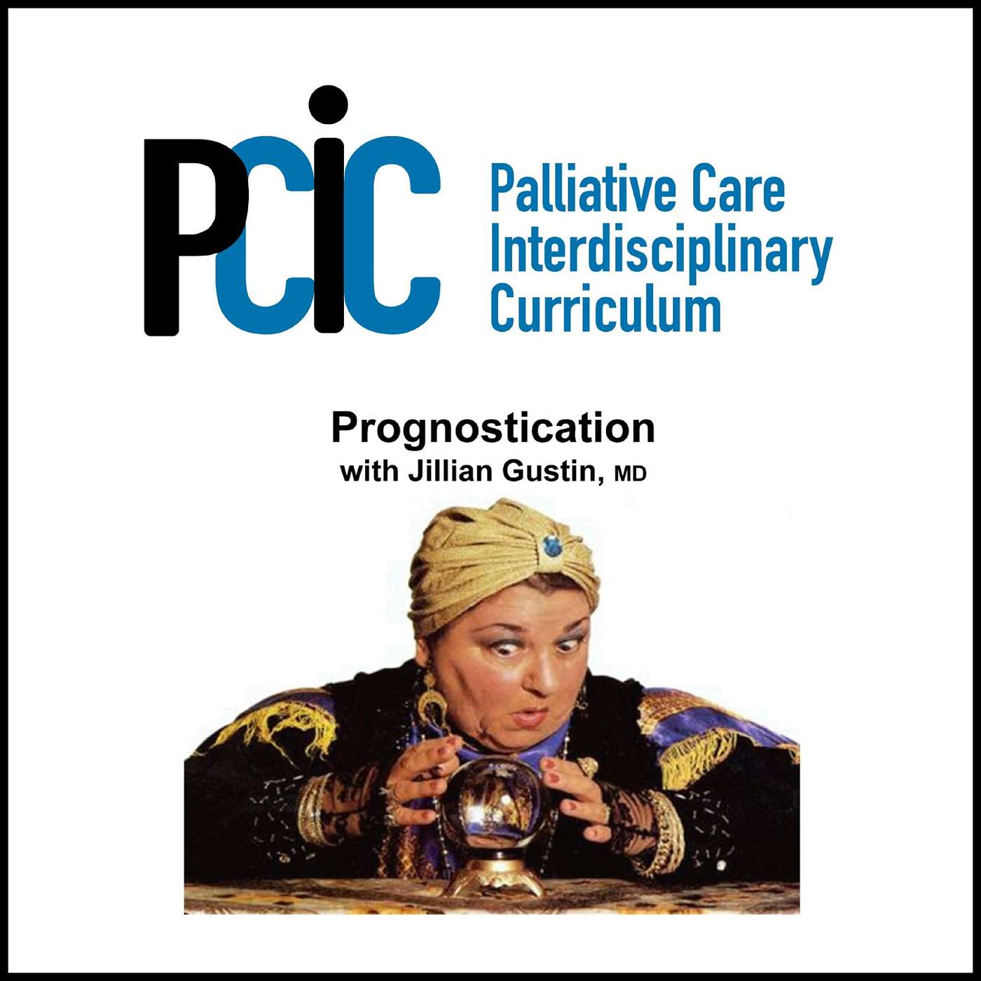 Palliative Care Interdisciplinary  Curriculum
