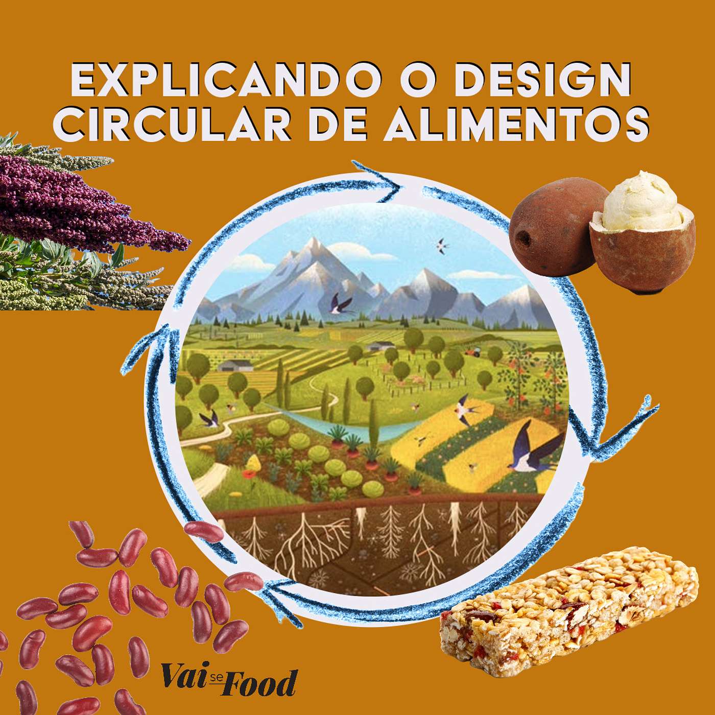 #138 Explicando o Design Circular de Alimentos, com Luísa Santiago