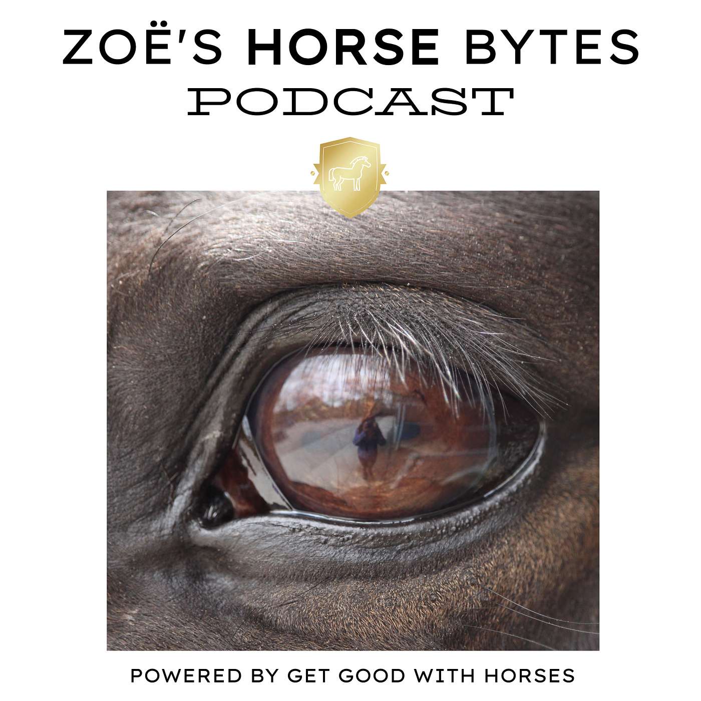 27. Mastering the mundane episode artwork