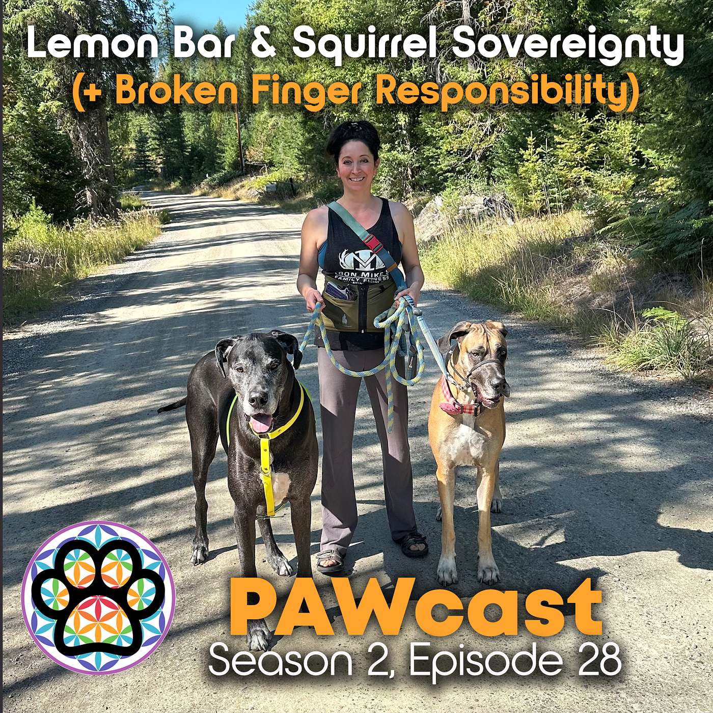 28: Lemon Bar & Squirrel Sovereignty episode artwork