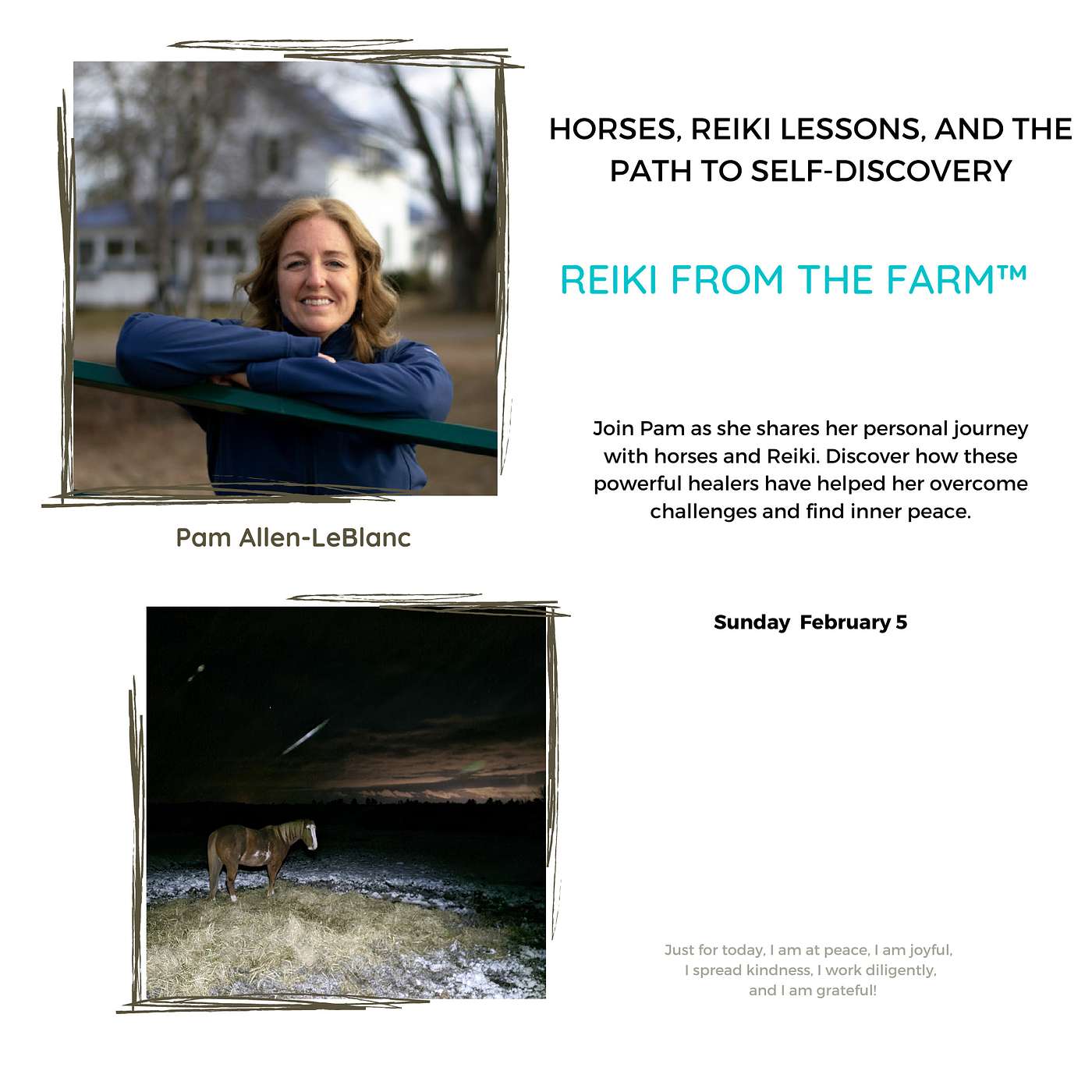 Horses, Reiki Lessons, and the Path to Self-Discovery