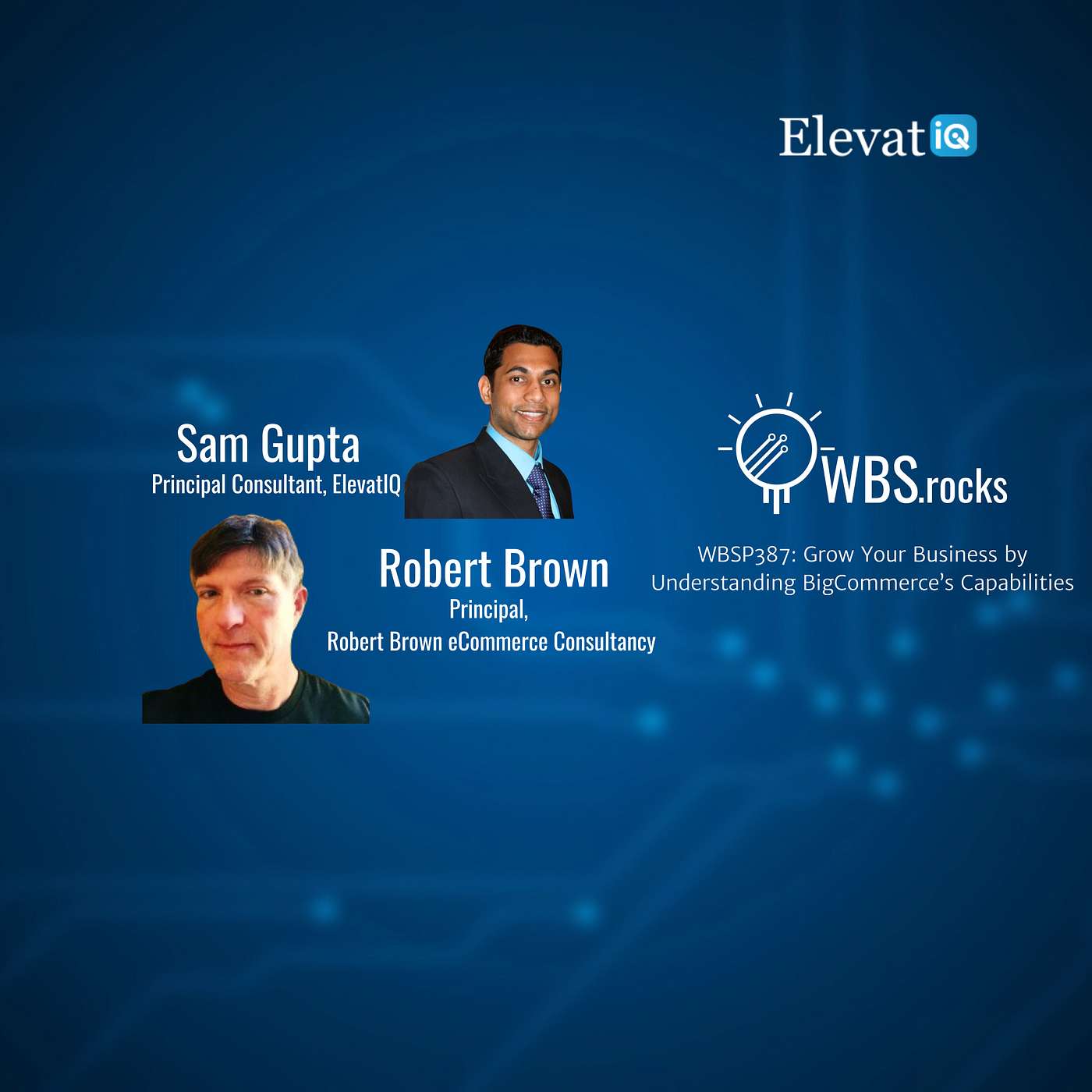 WBSP387: Grow Your Business by Understanding BigCommerce’s Capabilities, an Objective Panel Discussion