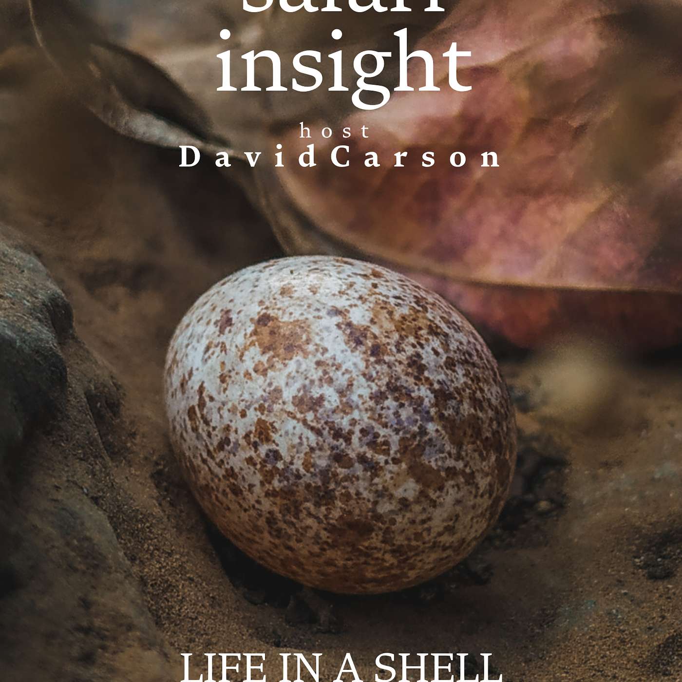 Life in a Shell with Adam Jones Life in a Shell with Adam Jones