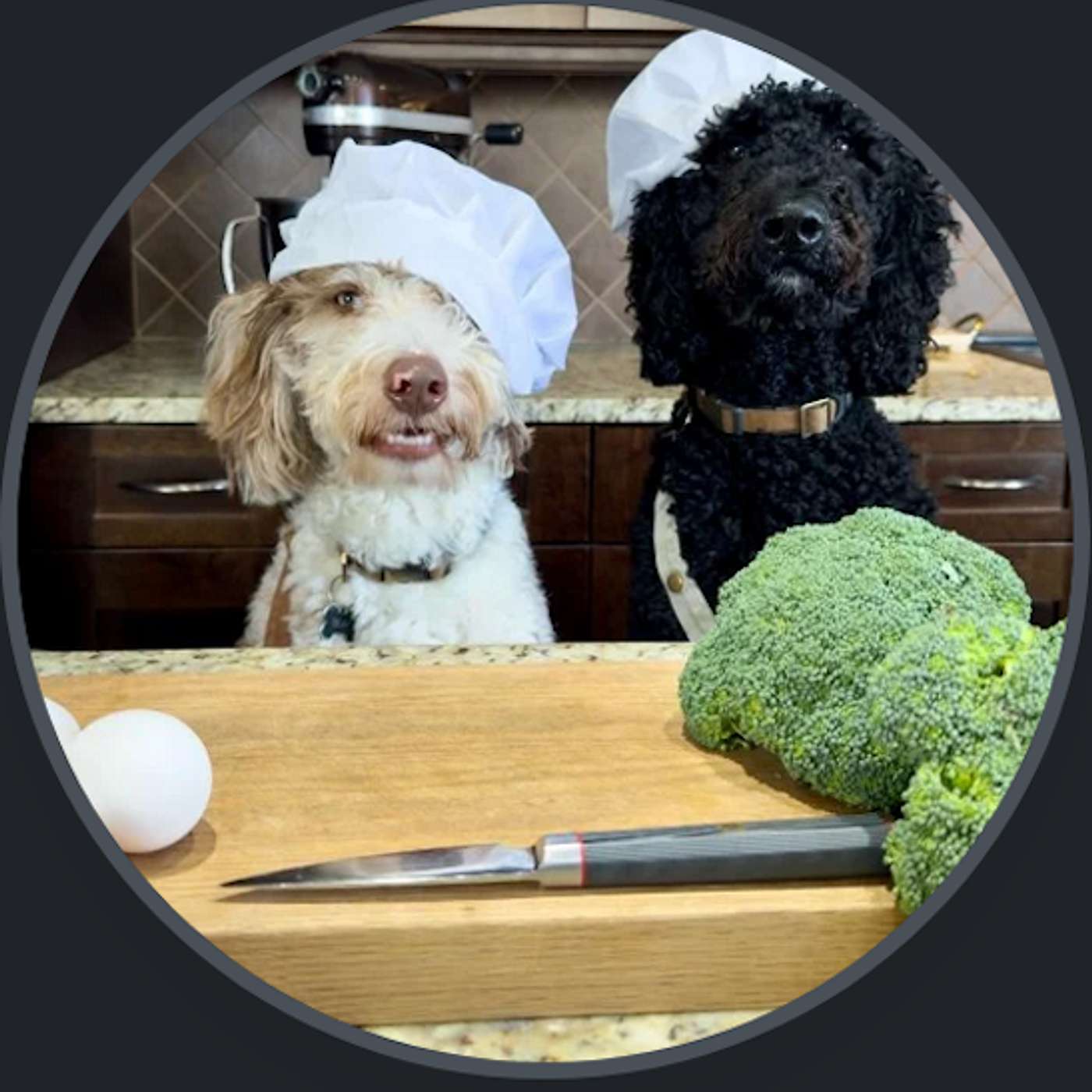 What's In Your Dog's Bowl? Conversation with the Migliara Twins