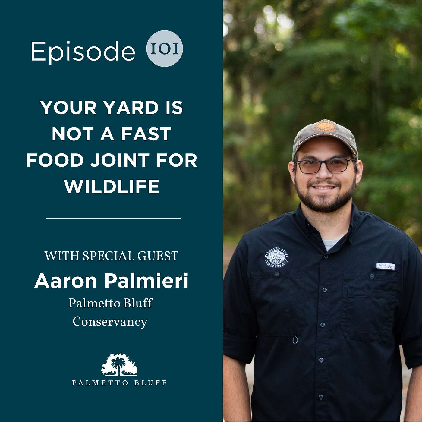 Your Yard Is Not A Fast Food Joint For Wildlife | Aaron Palmieri Your Yard Is Not A Fast Food Joint For Wildlife | Aaron Palmieri