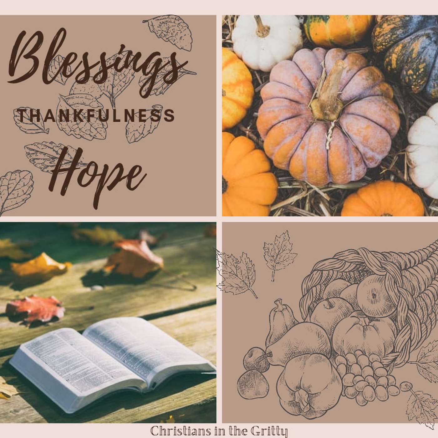 Thankfulness in Our Struggles episode artwork