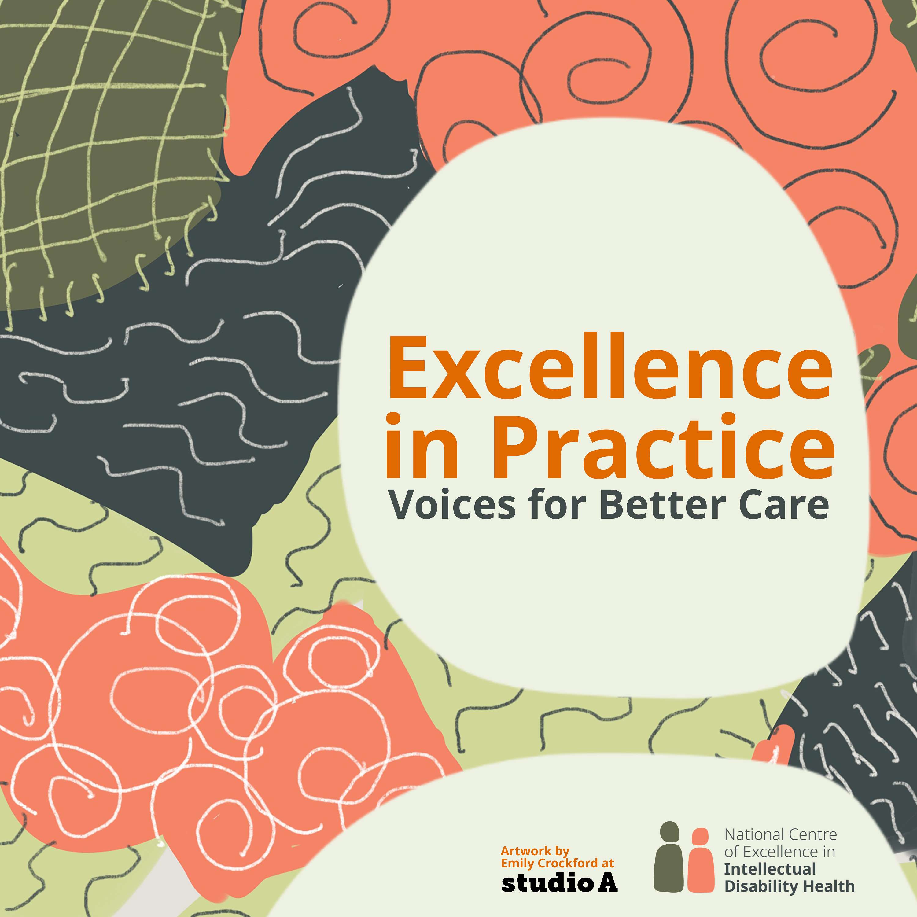 Excellence in Practice: Voices for Better Care