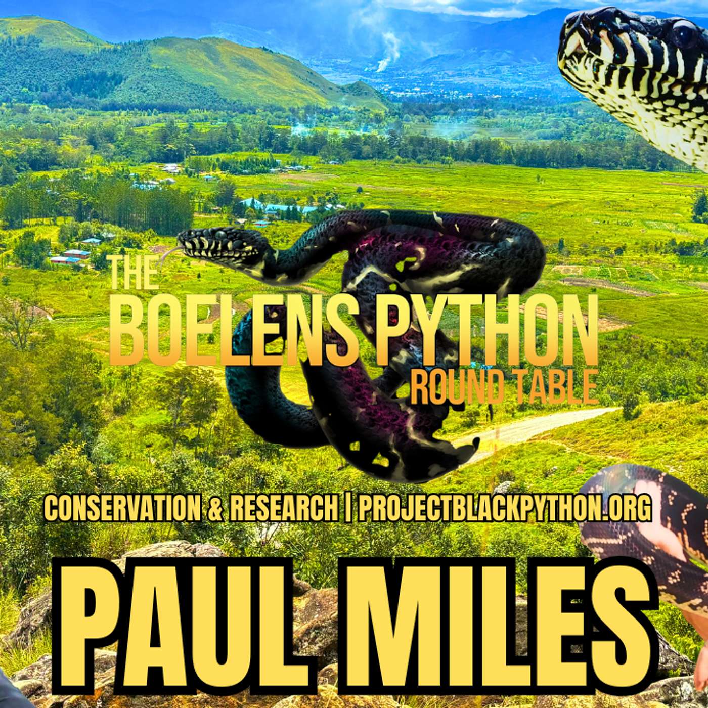 Paul Miles: Boelens Python History The First Captive Reproduction | BPRT Episode 6