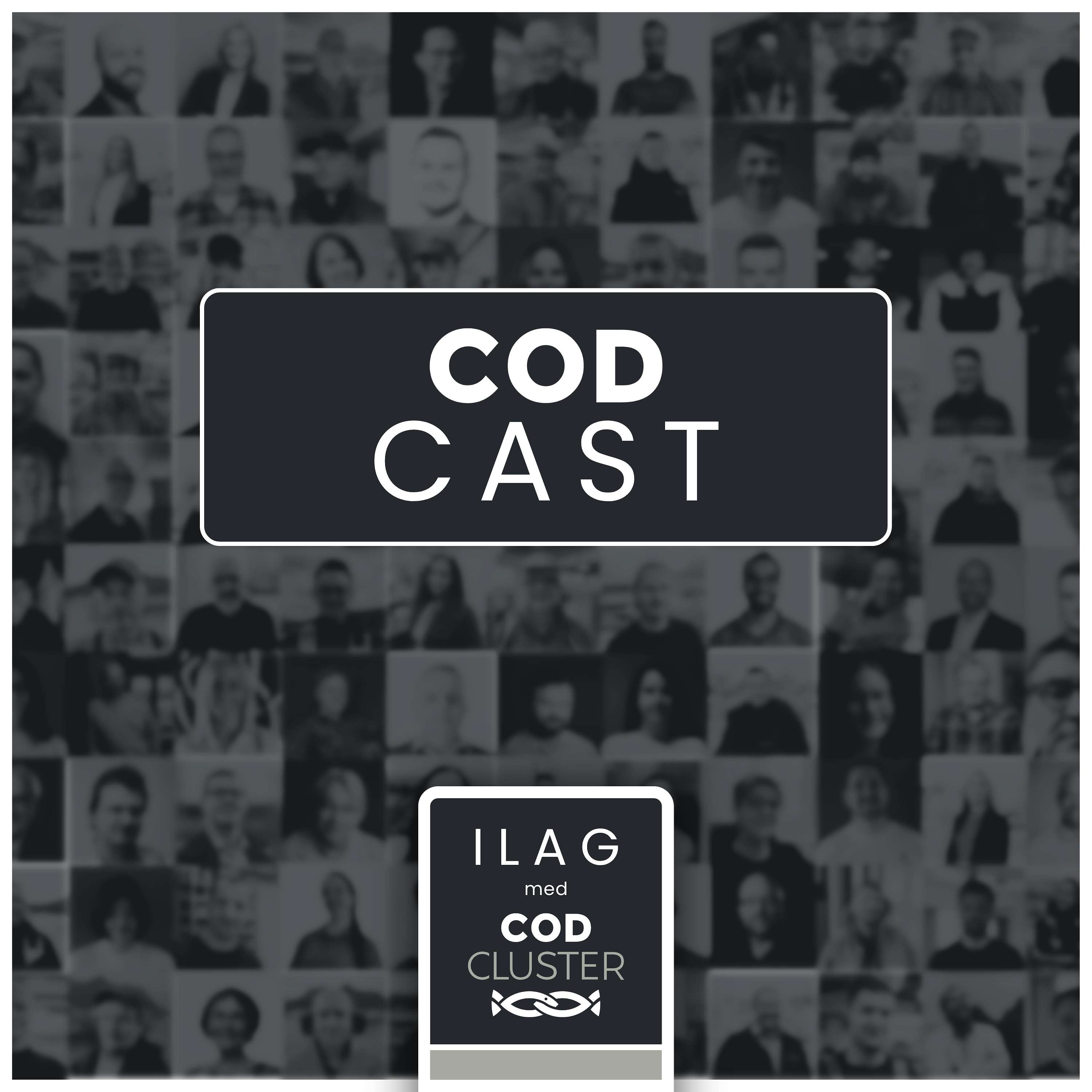 Podcast Image
