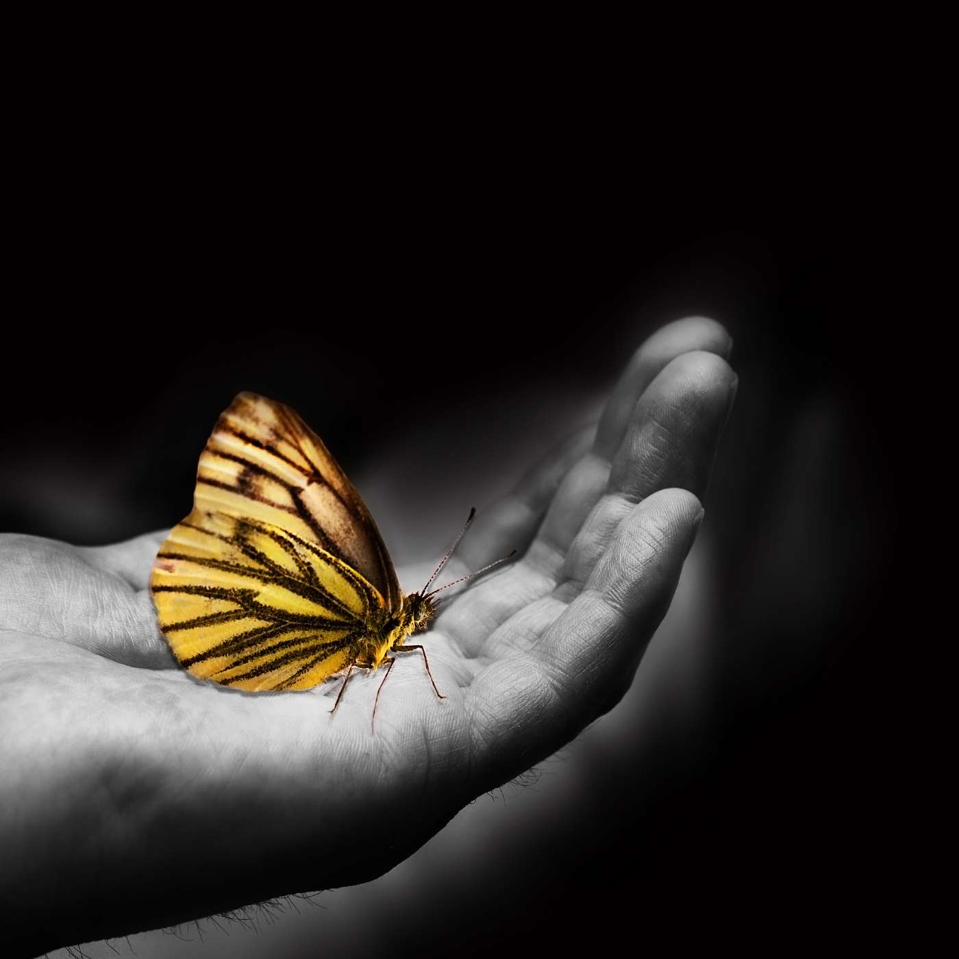 Take Every thought Captive
