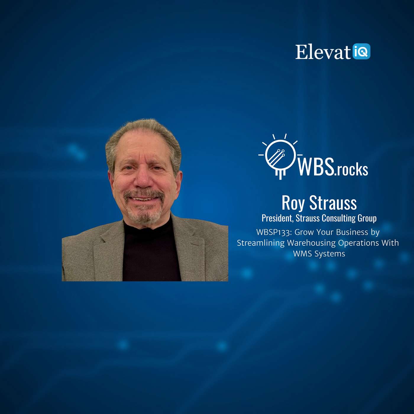 WBSP133: Grow Your Business by Streamlining Warehousing Operations With WMS Systems w/ Roy Strauss