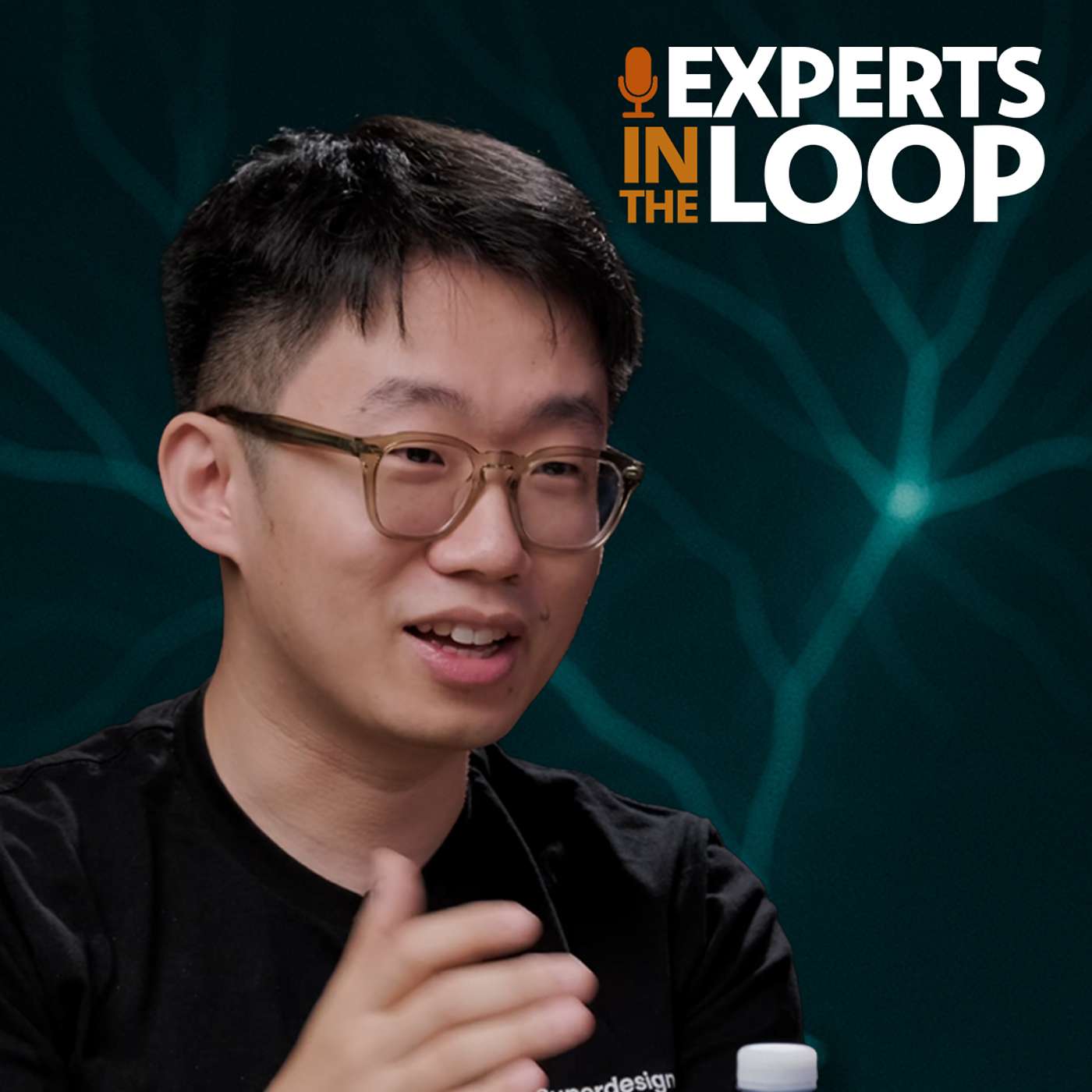 Experts in the Loop