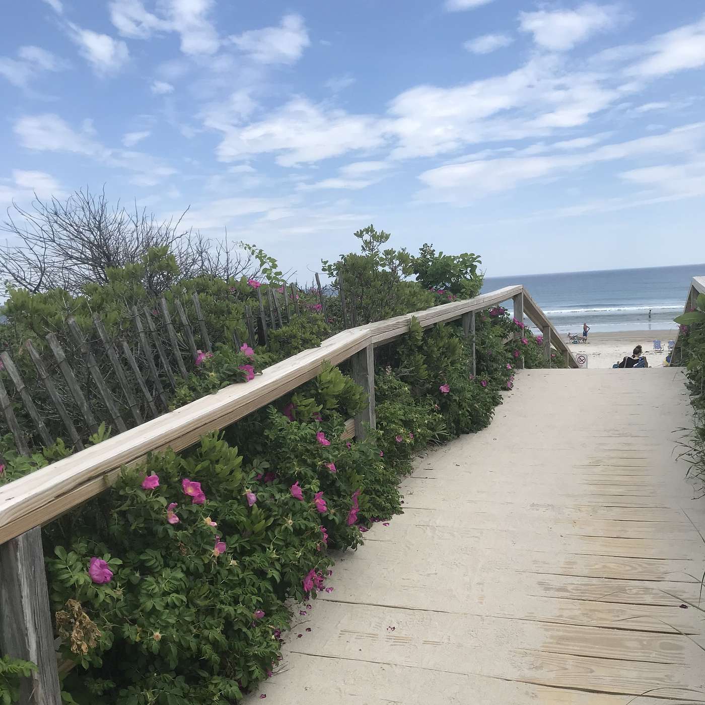16th Stop, Footbridge Beach, June 8 2021 1:00 pm