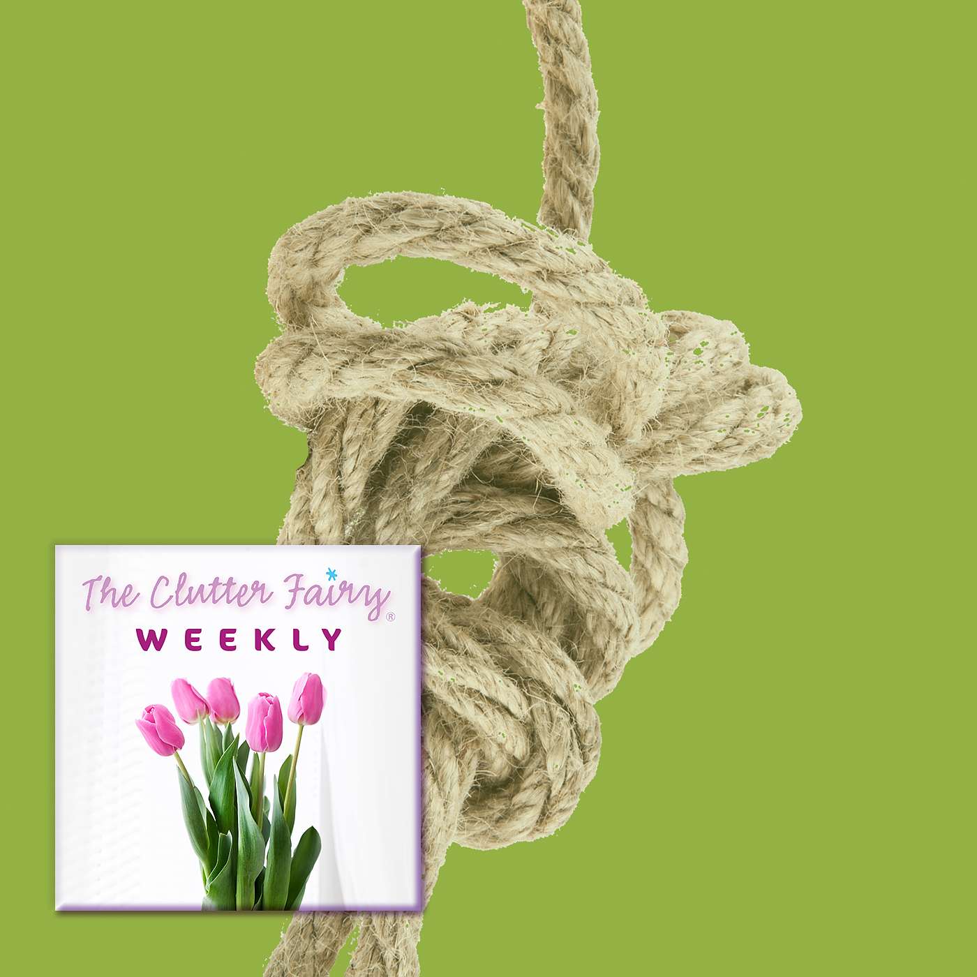 The Clutter Fairy Weekly #62 - All Tied Up in Knots: Creative Clutter Problem-Solving