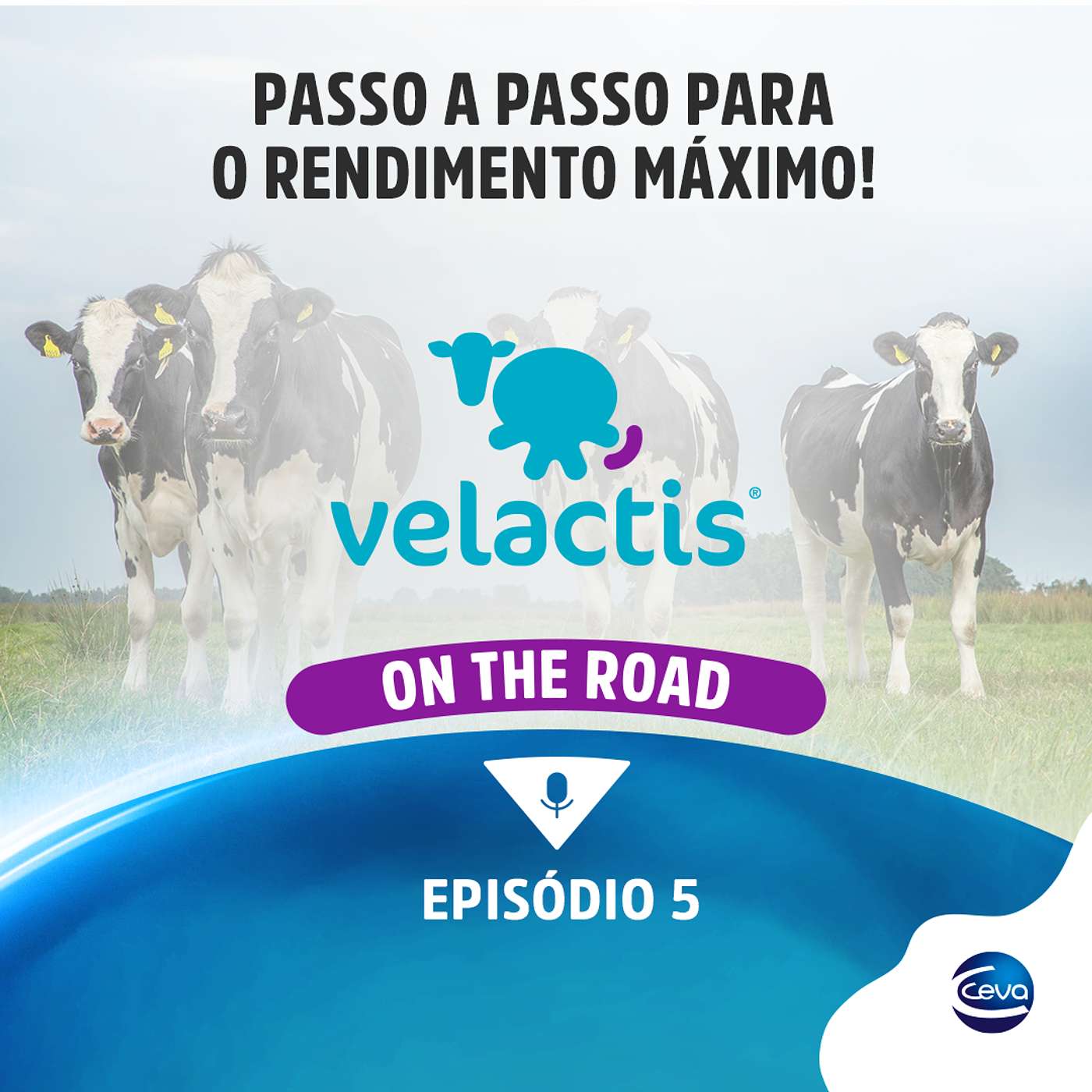 Velactis On The Road #05 | Passo a passo para o rendimento máximo! episode artwork