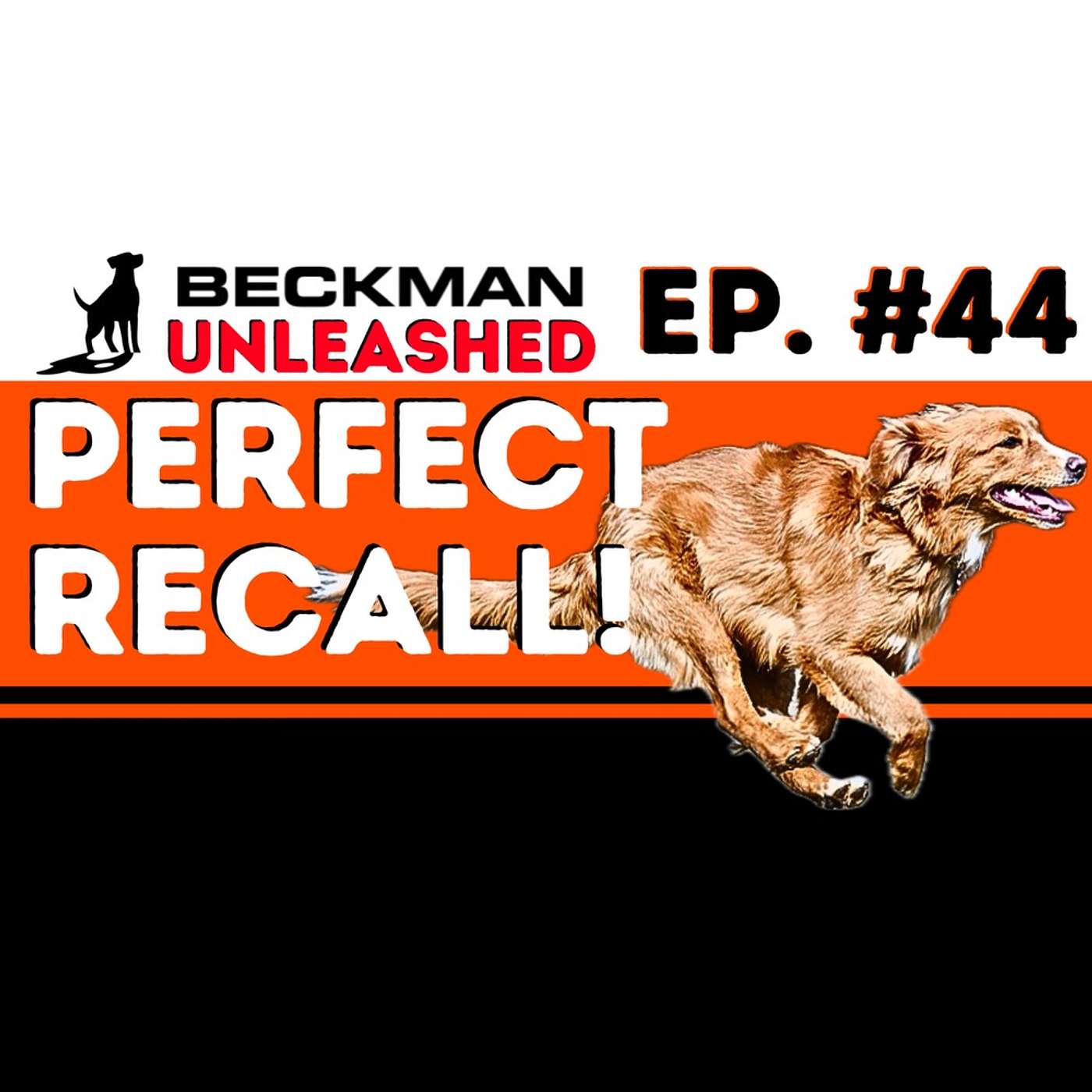 Beckman Unleashed