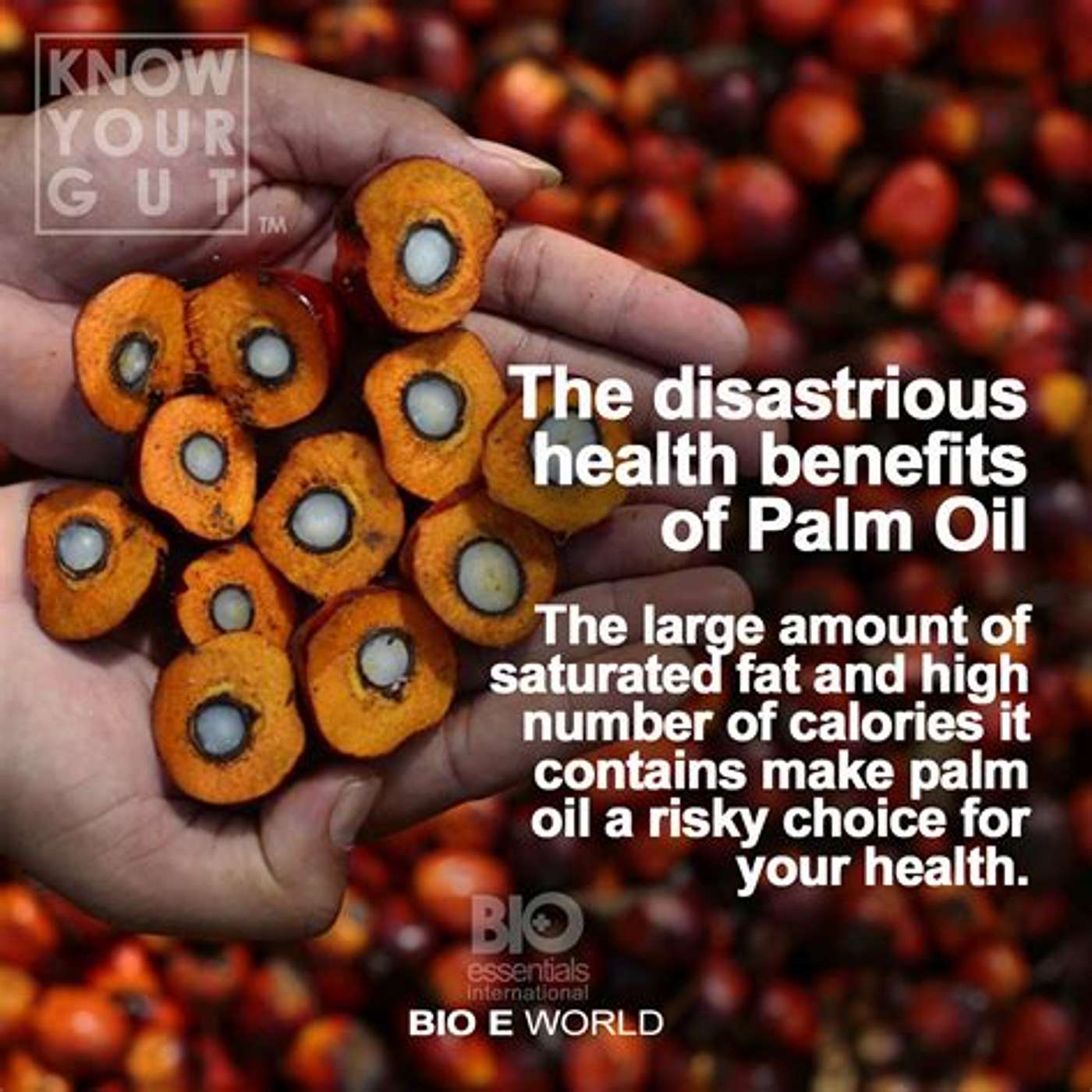 Palm oil. not good for much episode artwork