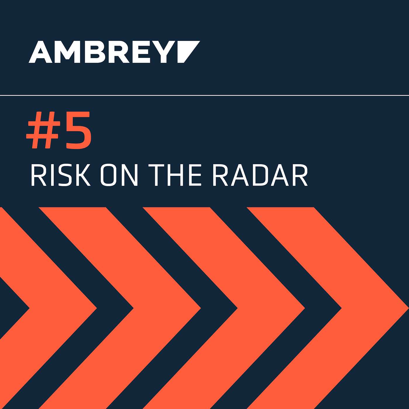 Risk on the Radar #5 episode artwork