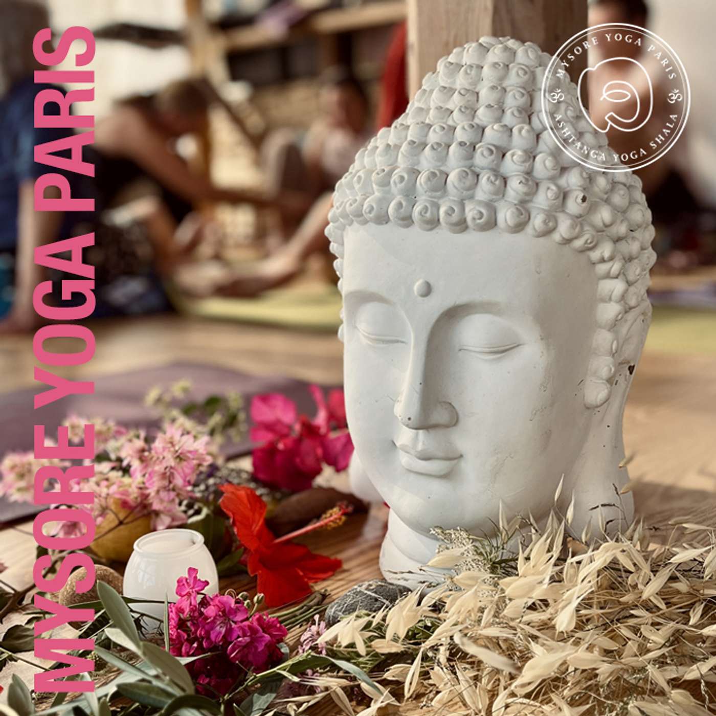 Meditation: Mettā Bhāvanā episode artwork