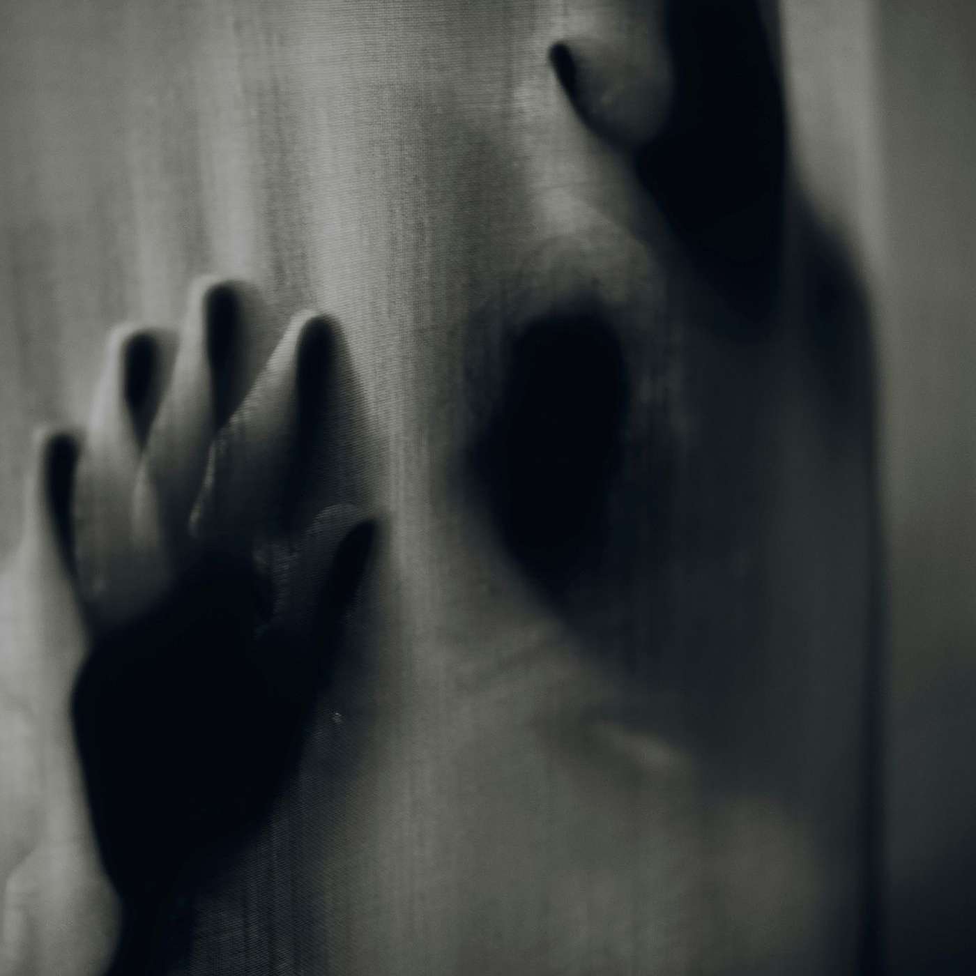 Through the Veil: The Beast of the Poet of Patmos Through the Veil: The Beast of the Poet of Patmos