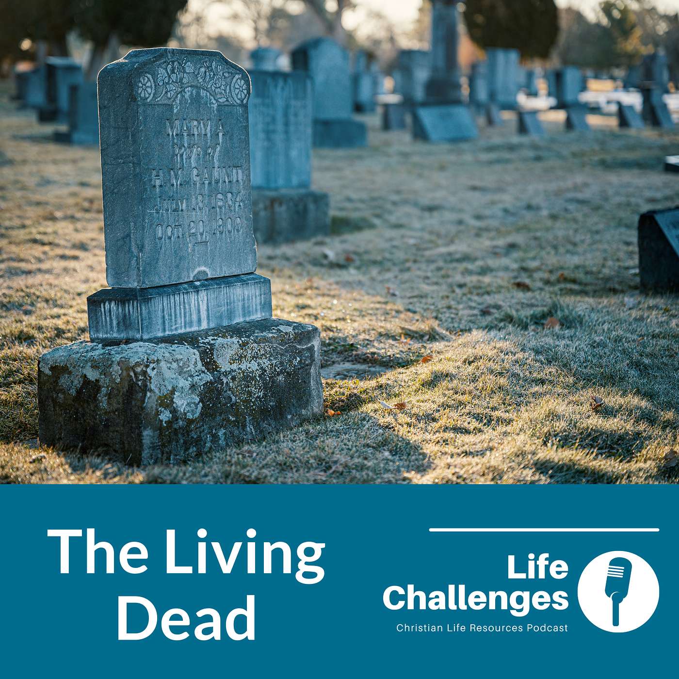 The Life Challenges Podcast