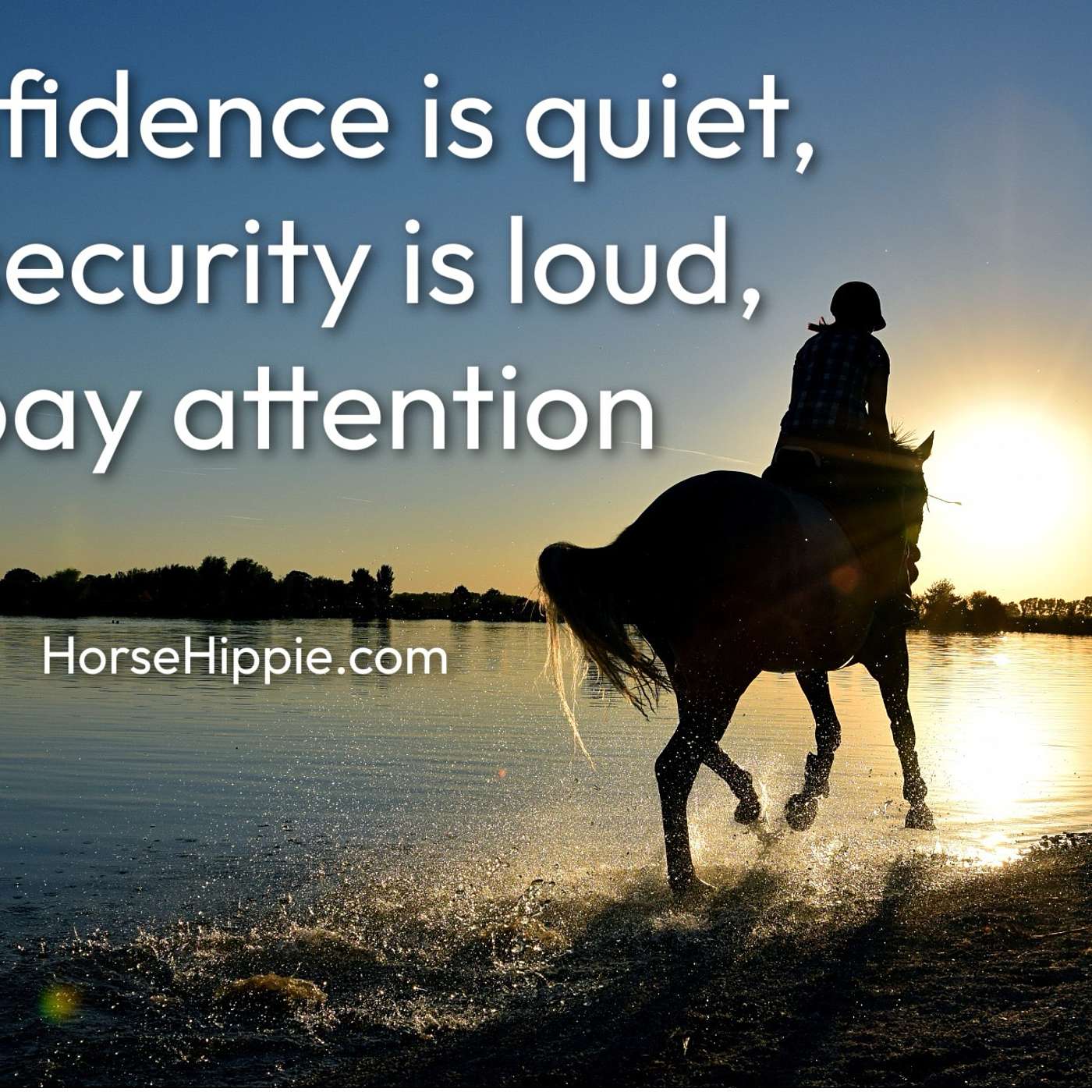 Confidence versus Insecurity