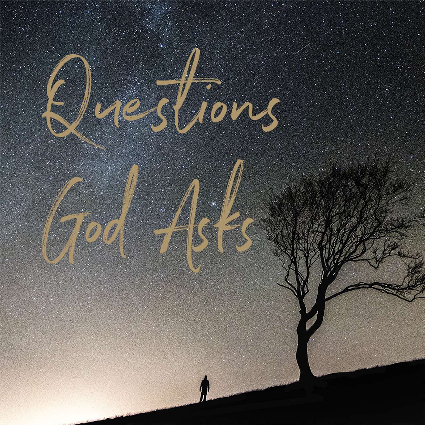 Questions God Asks: "Why Do You Call Me Good?"