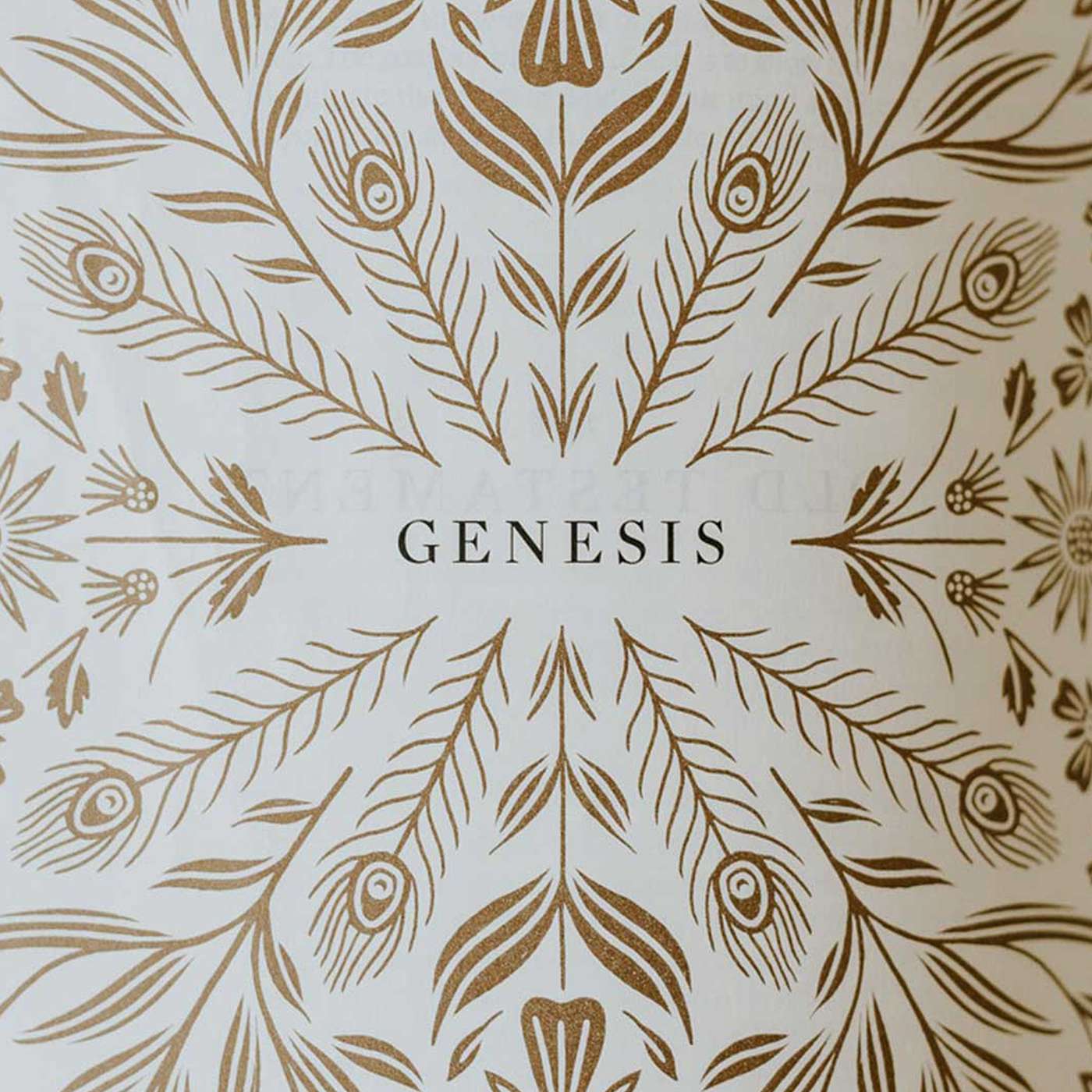 The God Who Was in the Beginning