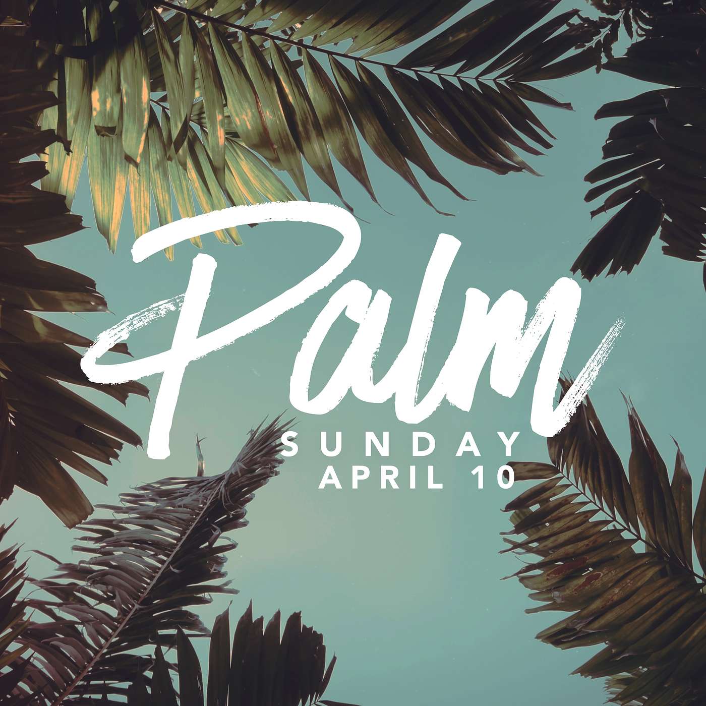 Palm Sunday- 2022 episode artwork