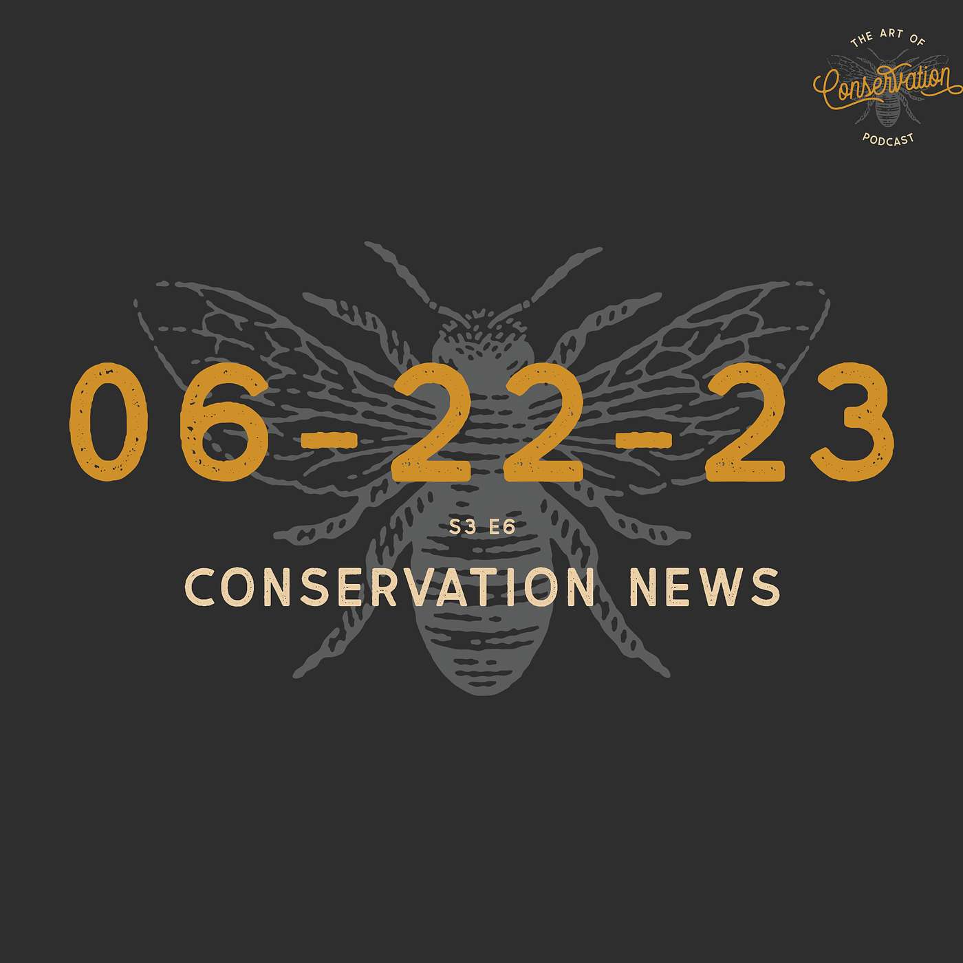 The Art Of Conservation