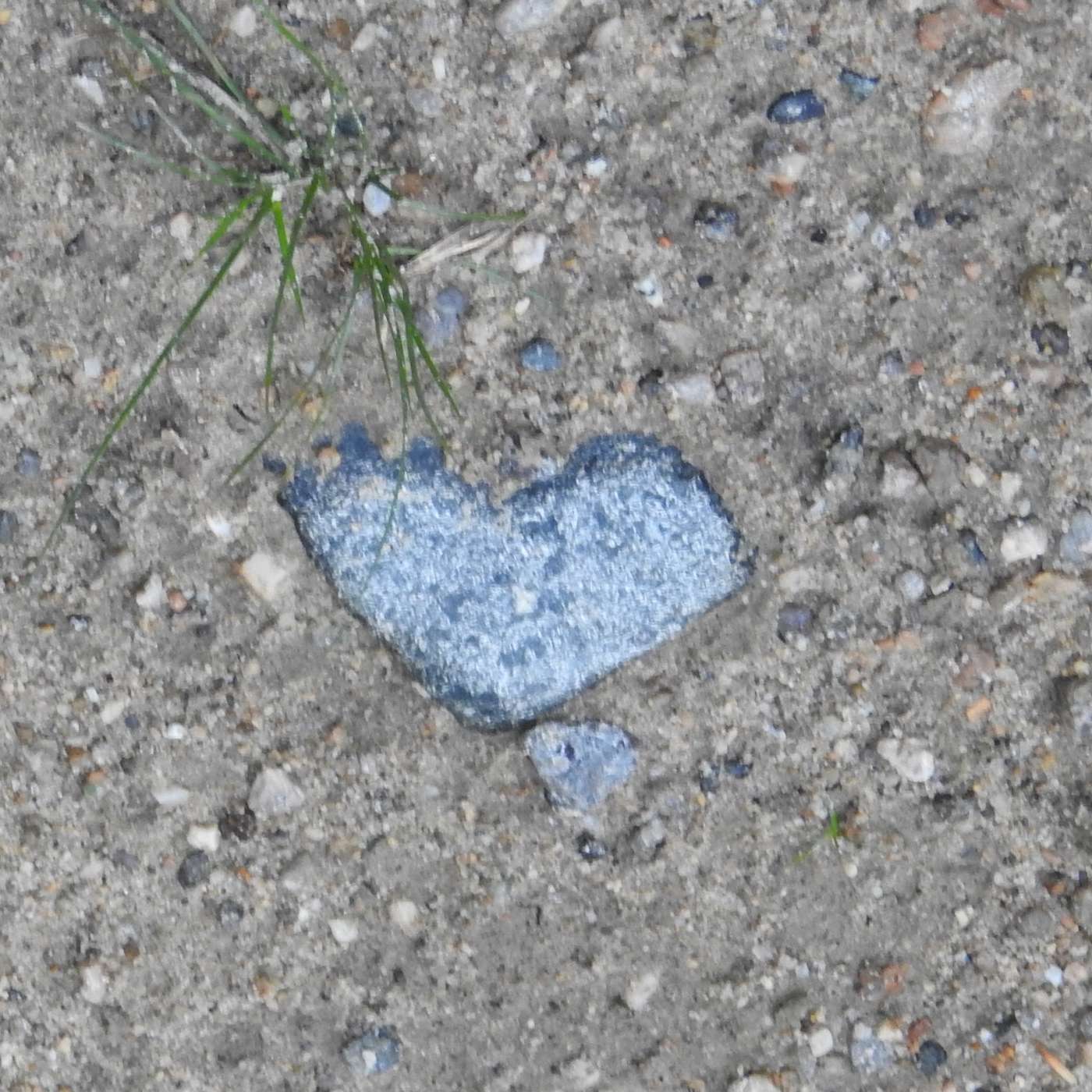 HEART CONNECTIONS