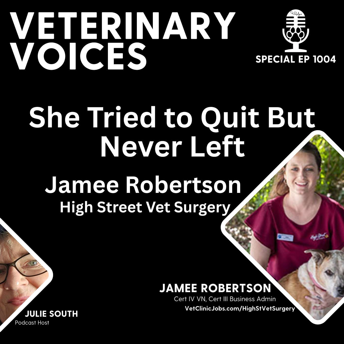 High Street Vet Surgery - She Tried to Quit But Never Left - Julie chats with Jamee - ep.1004