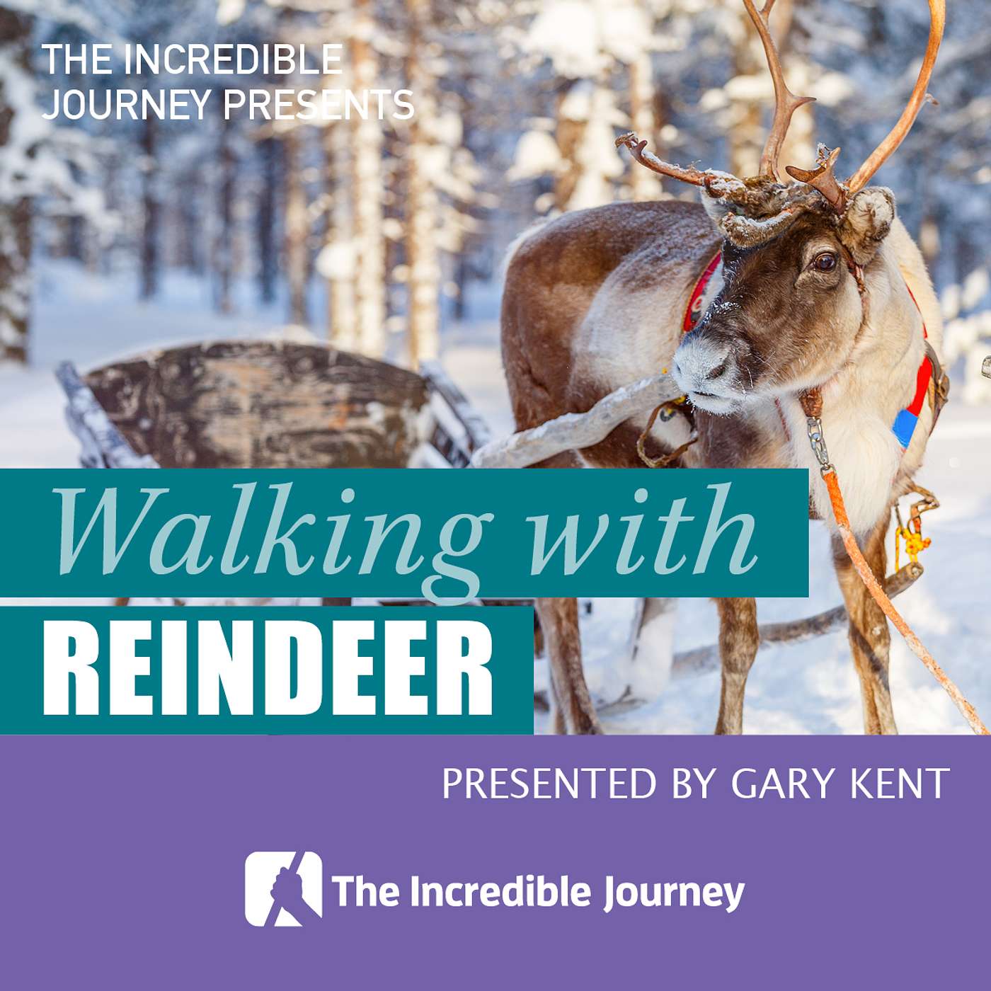 The Incredible Journey