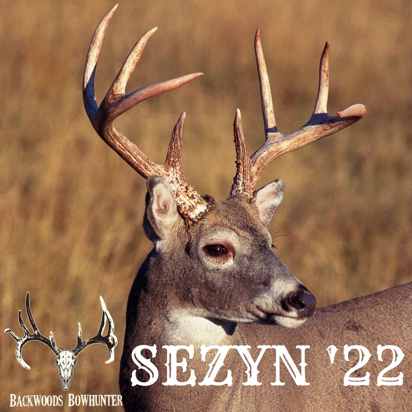 SEZYN / November 30th - December 11th