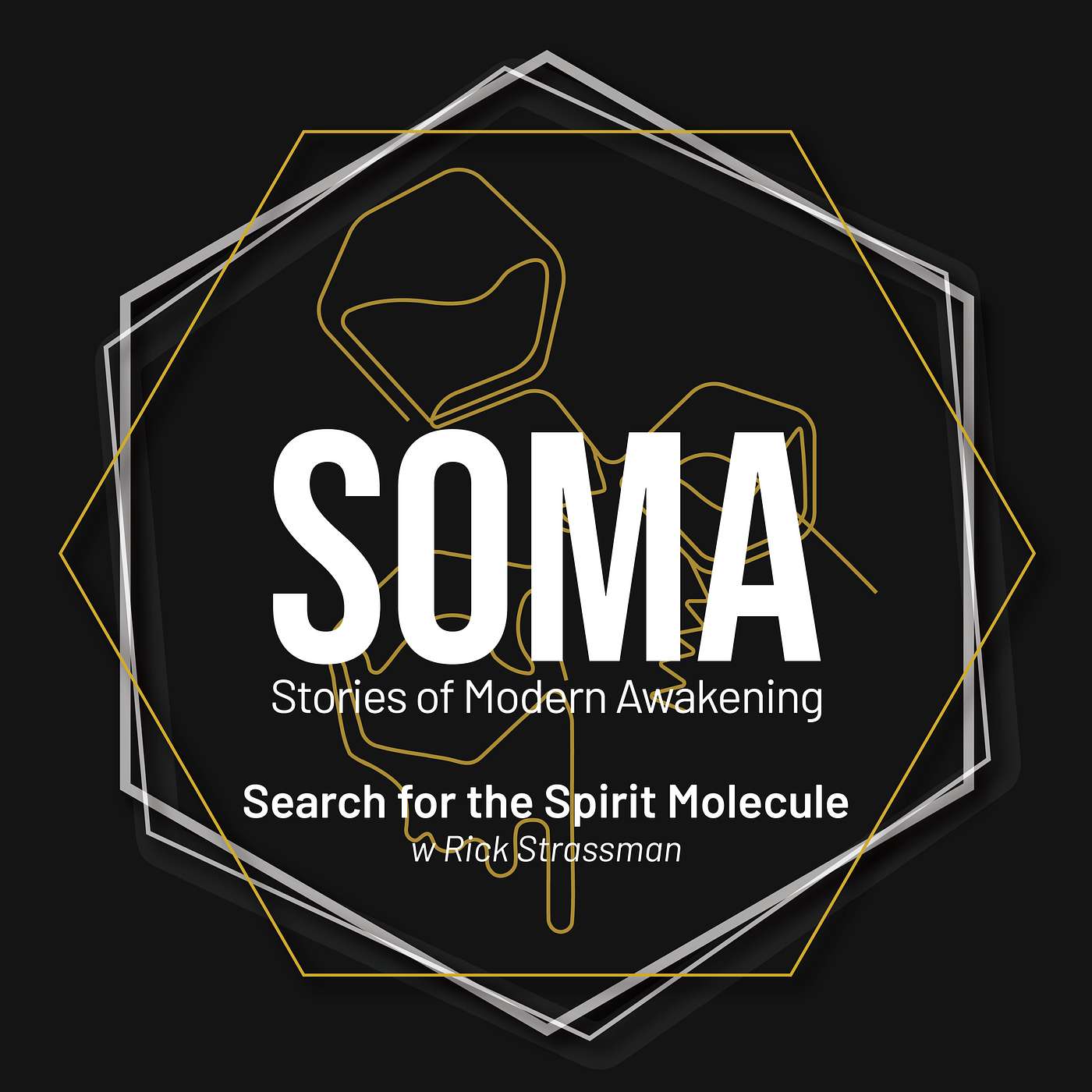 Search for the Spirit Molecule - A Clinical Study of DMT Experiences w/ Rick Strassman Search for the Spirit Molecule - A Clinical Study of DMT Experiences w/ Rick Strassman