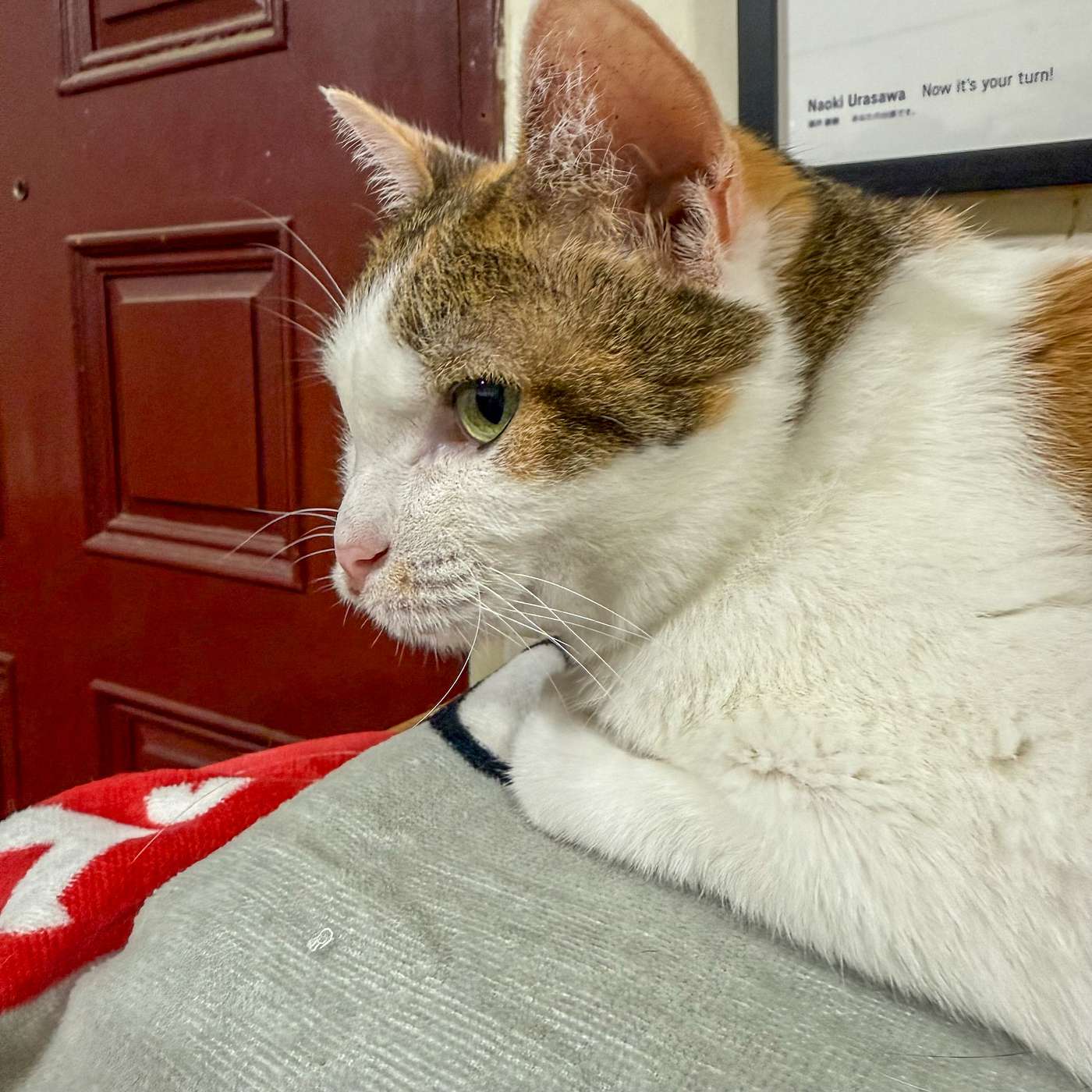 【鮑鮑報報EP47】好人夠努力，在別人的故事裡也會變壞人？