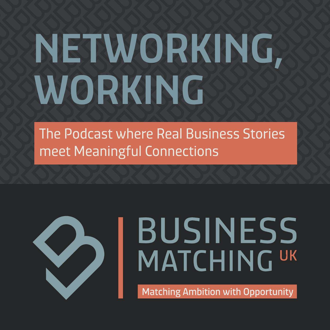 Networking, Working | Matching Ambition With Opportunity