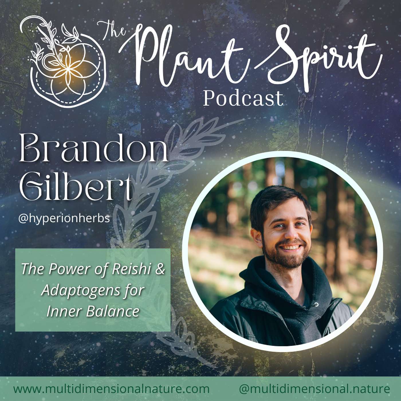 The Power of Reishi & Adaptogens for Inner Balance with Brandon Gilbert